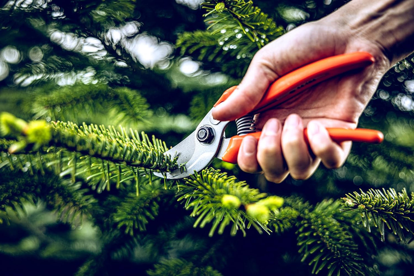 Original LÖWE Bypass Pruner Garden Tools 14.104 | Use as Pruners, Hedge Trimmer, Garden Shears, Pruning Shears for Gardening | For cutting roses, twigs, branches, and cut flowers | Made in Germany