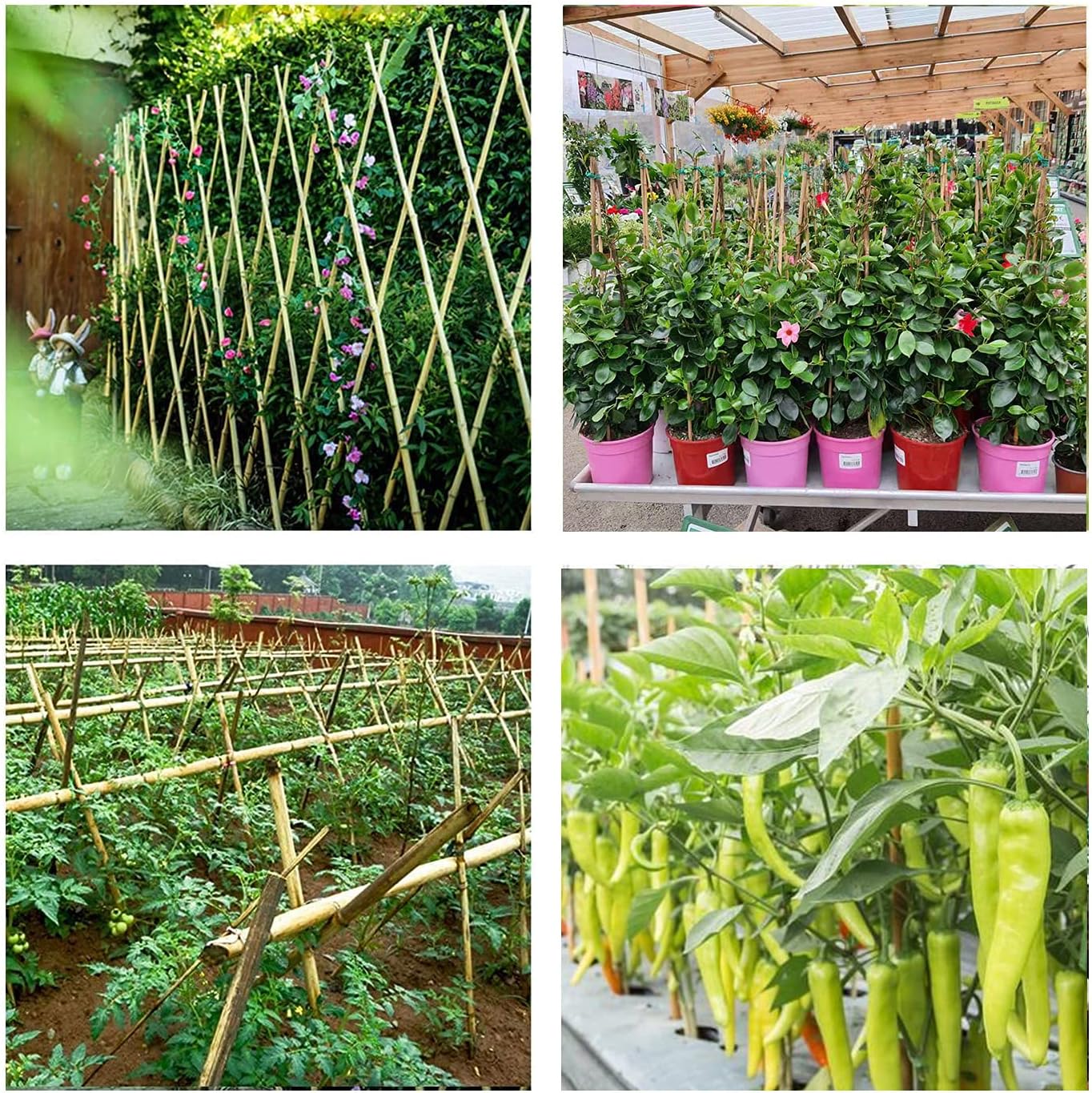 Bamboo Garden Stakes 3 Feet Plant Stakes for Roma Tomatoes Sunflowers Beans Potted and Climbing Plants - Pack of 25 Bamboo Sticks