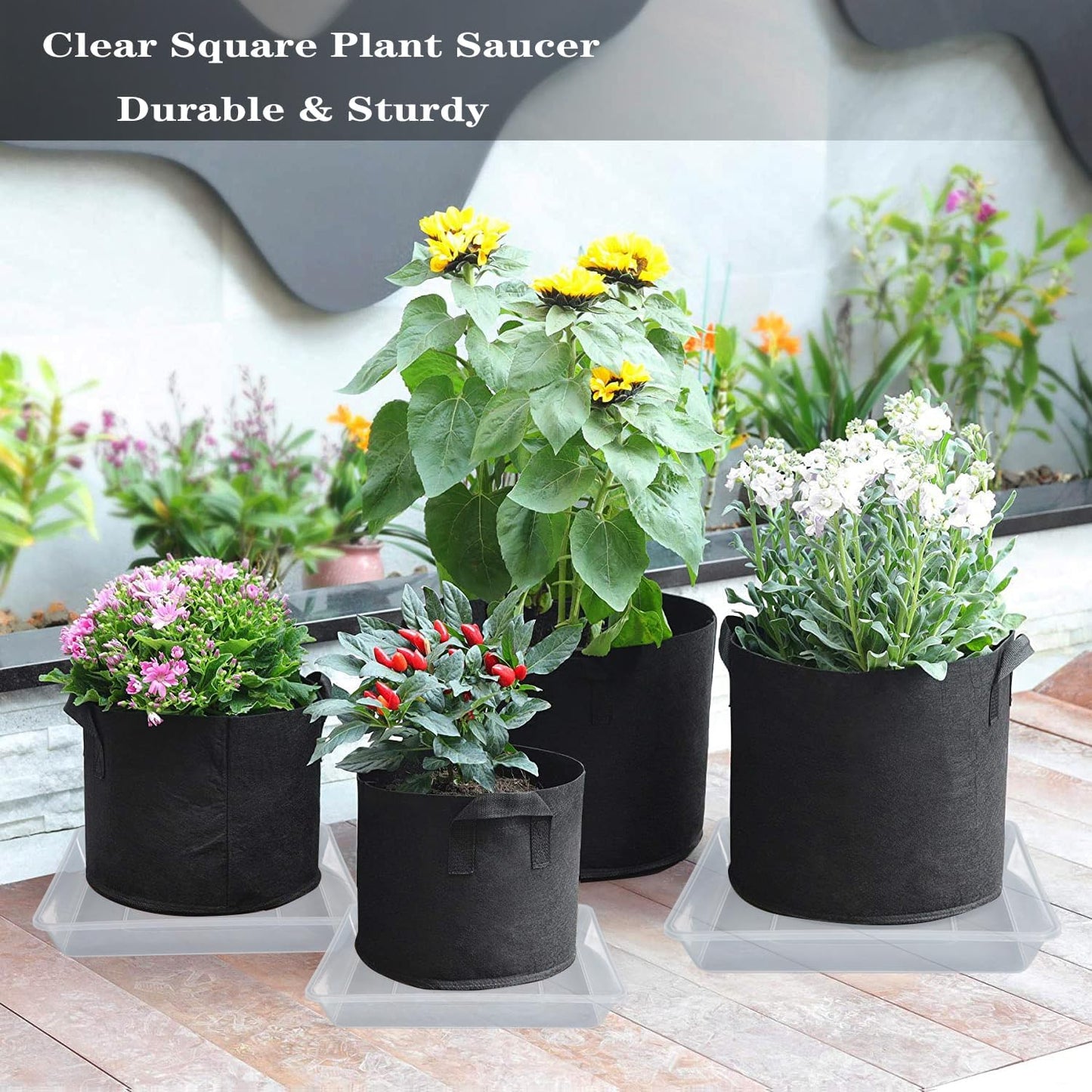 Square Plant Saucer 6 Inch 5 Pack, Strong Clear Plastic Flower Plant Pot Saucer, Square Planters for Indoors and Outdoors Plants, Garden Plant Saucers for Pots Plant Trays.