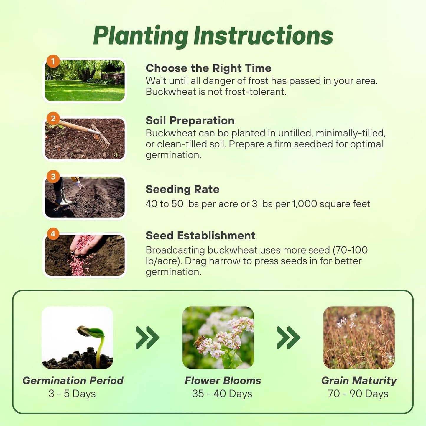 Outsidepride Buckwheat Seeds - 10lbs Annual, Fast-Growing, Easy to Grow Buckwheat Cover Crop Seeds for Green Manure, Bee Pasture & Pollinators, Wildlife Habitat, Soil Improvement, and Erosion Control