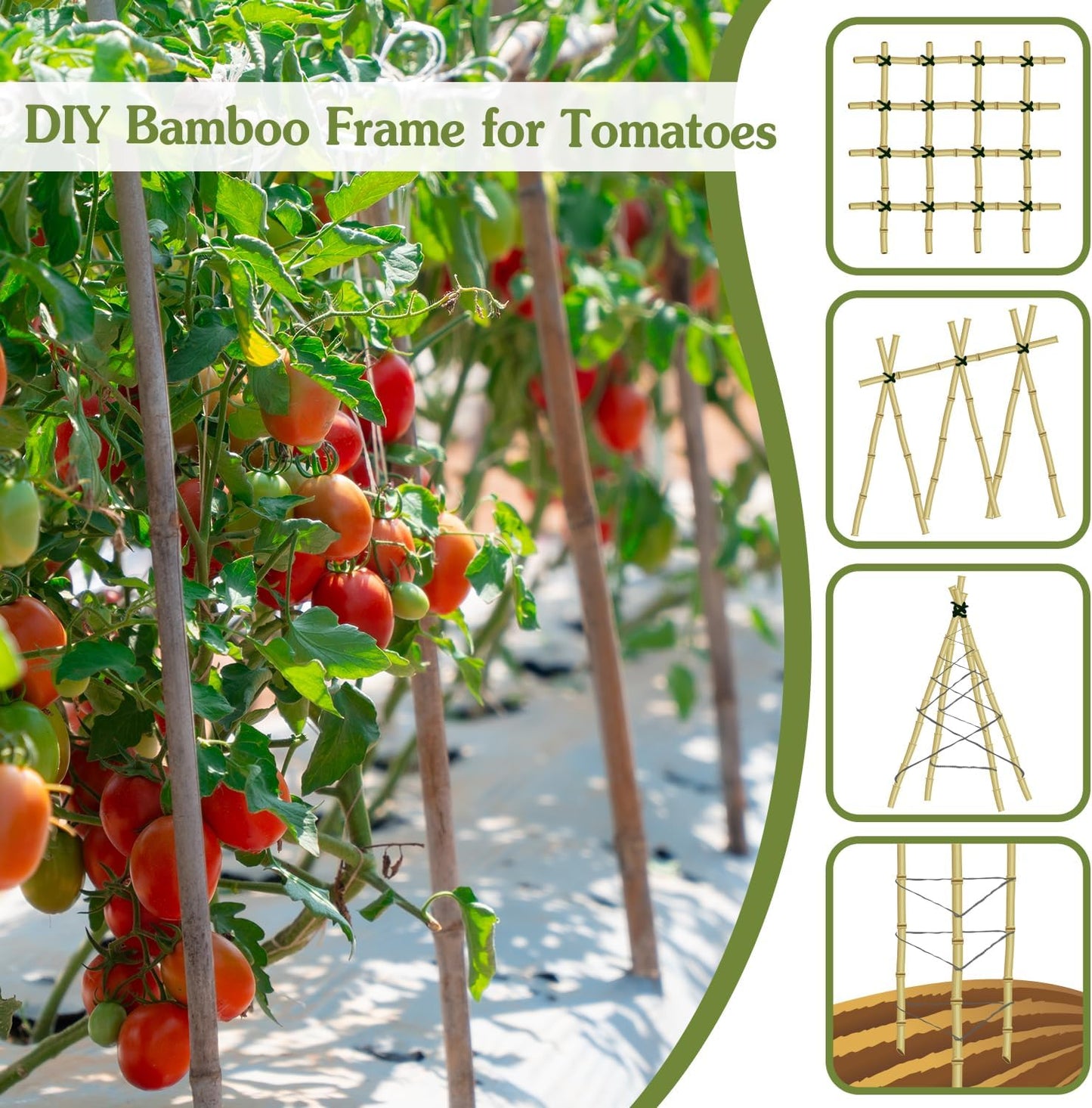 Plant Stakes 4.8FT, Natural Bamboo Stakes, HAINANSTRY 20Pcs Sturdy Bamboo Garden Stakes, Bamboo Sticks for Plants, Beans, Indoor and Outdoor Climbing Plants, Tomato Vegetable Stakes for Garden
