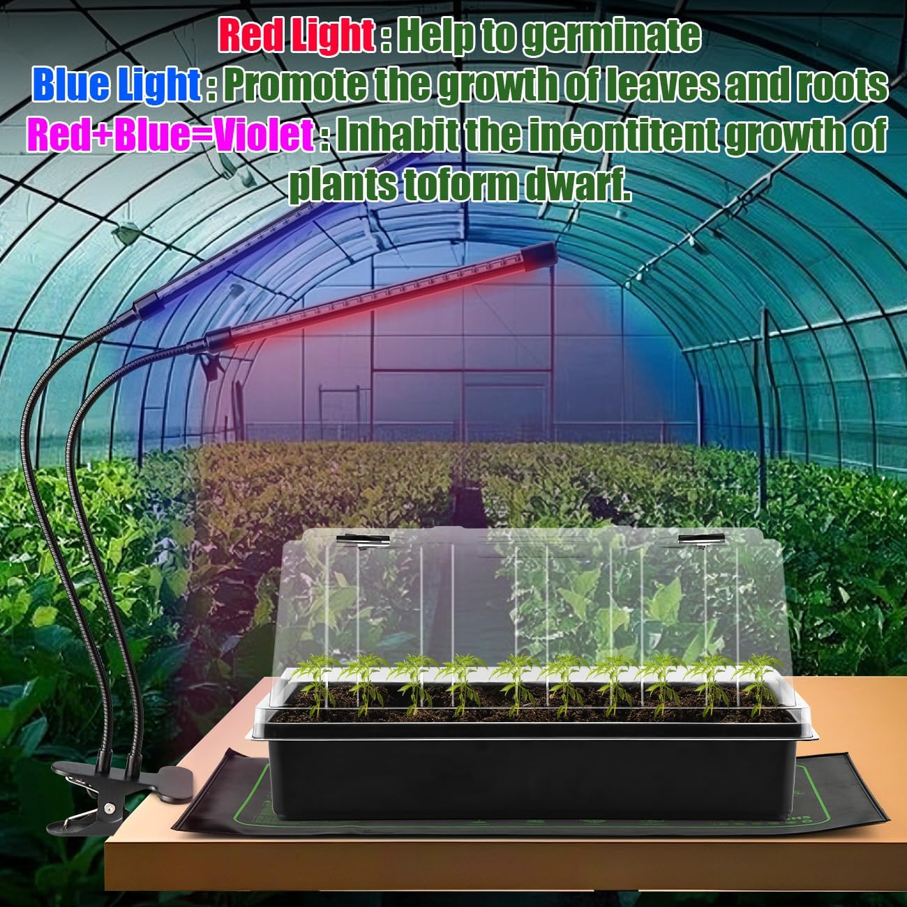 4-Pack Seed Starter Kit with Adjustable Grow Lights & 2 Heat Mats – 5'' Humidity Domes for Indoor Plants, Vegetables, Seedlings, Full Spectrum 20W, 4000K LED Light and Germination Tray with Vents