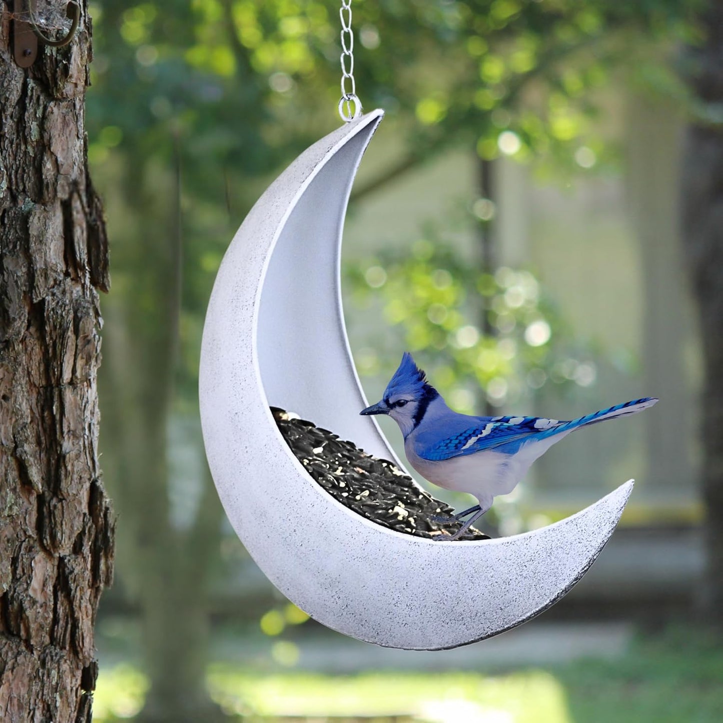 Hanging Moon Bird Feeder – Unique Metal Bird Feeders for Outdoors, Rustic White, Rust-Resistant, Drain Holes – Wild Bird Feeder for Bluebirds, Cardinals, Finches, and Backyard Birdwatching