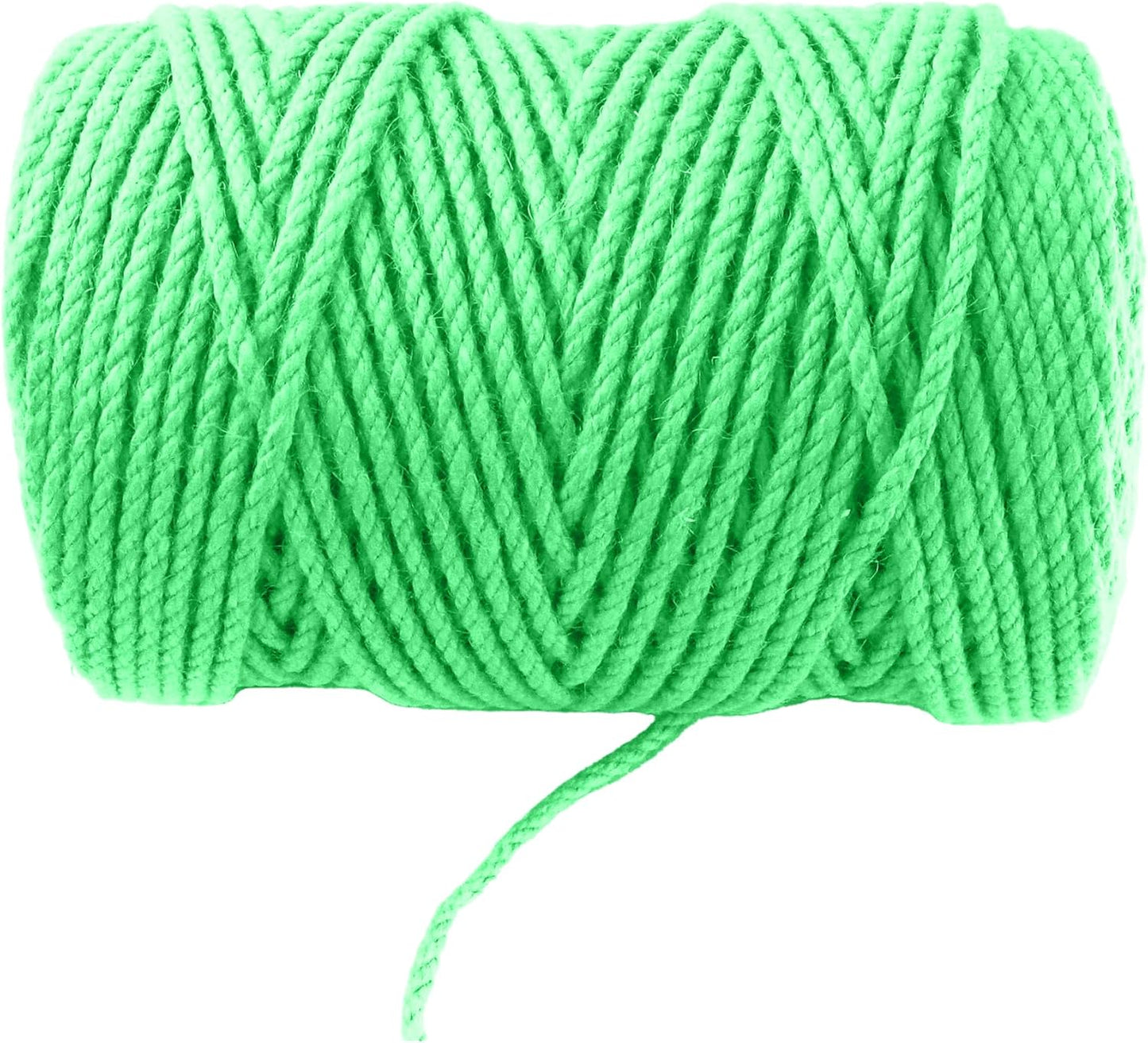 4mm x 300 Feet Light Green Jute Rope, Twine for Gardening Tomato Climbing Plant Tie Floristry Crafts Gift Wrapping Packing Decor