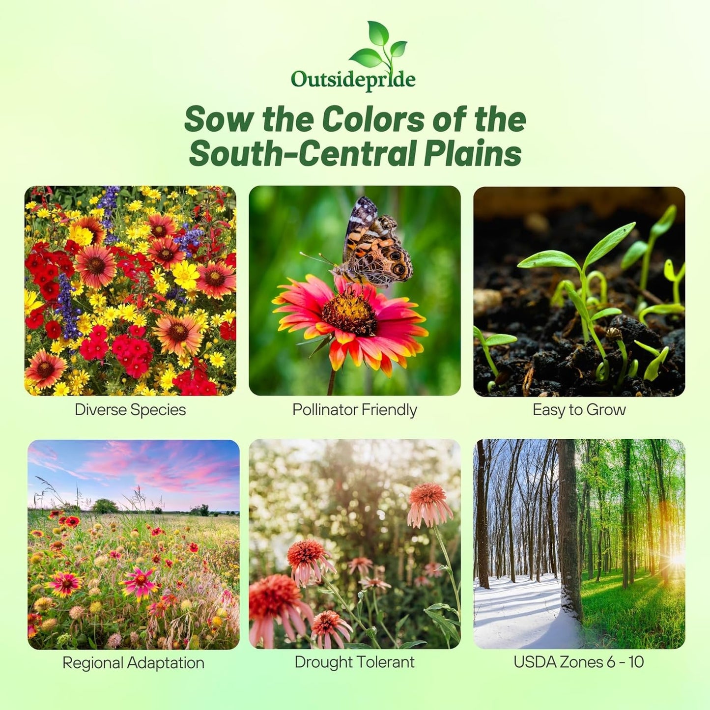 Outsidepride Texas & Oklahoma Wildflower Seed Mix - 5 lbs. Drought-Tolerant, Blend of Annual & Perennial Flower Seeds for Vibrant, Pollinator-Friendly Gardens, Thrives in Full Sun & Well-Drained Soil