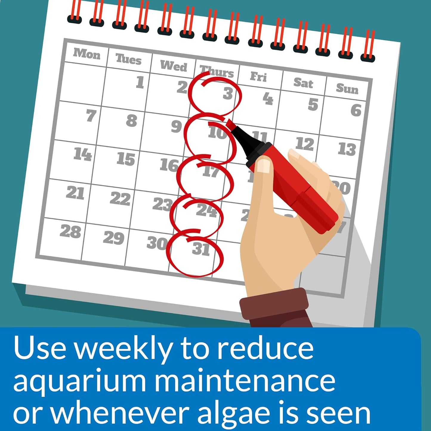 API ALGAEFIX Algae Control 1.25-Ounce Bottle