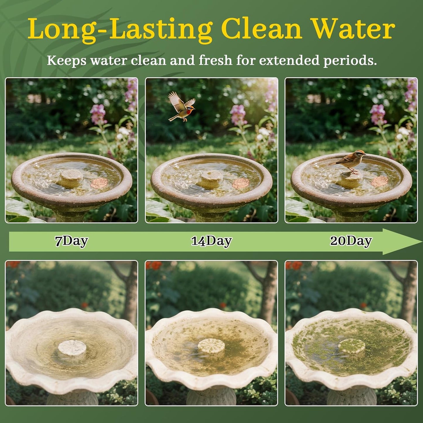 Bird Bath Copper Disk,Bird Bath Purification Disk 0.6mm Reinforced 99.99% Pure Copper Cleaning Disk with Triple-Point Support,Fits Outdoor Birdbath & Bowl,Provide Safe Clean Water,Rose-1Pc