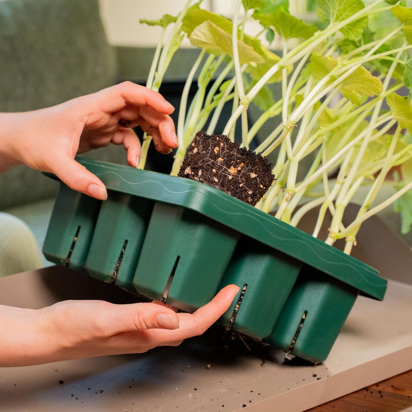 Vego garden Giga Seedling Trays - 16 Pack, 9-Cell UV-Resistant Reusable Starter Trays for Greenhouse/Garden (No Lids)