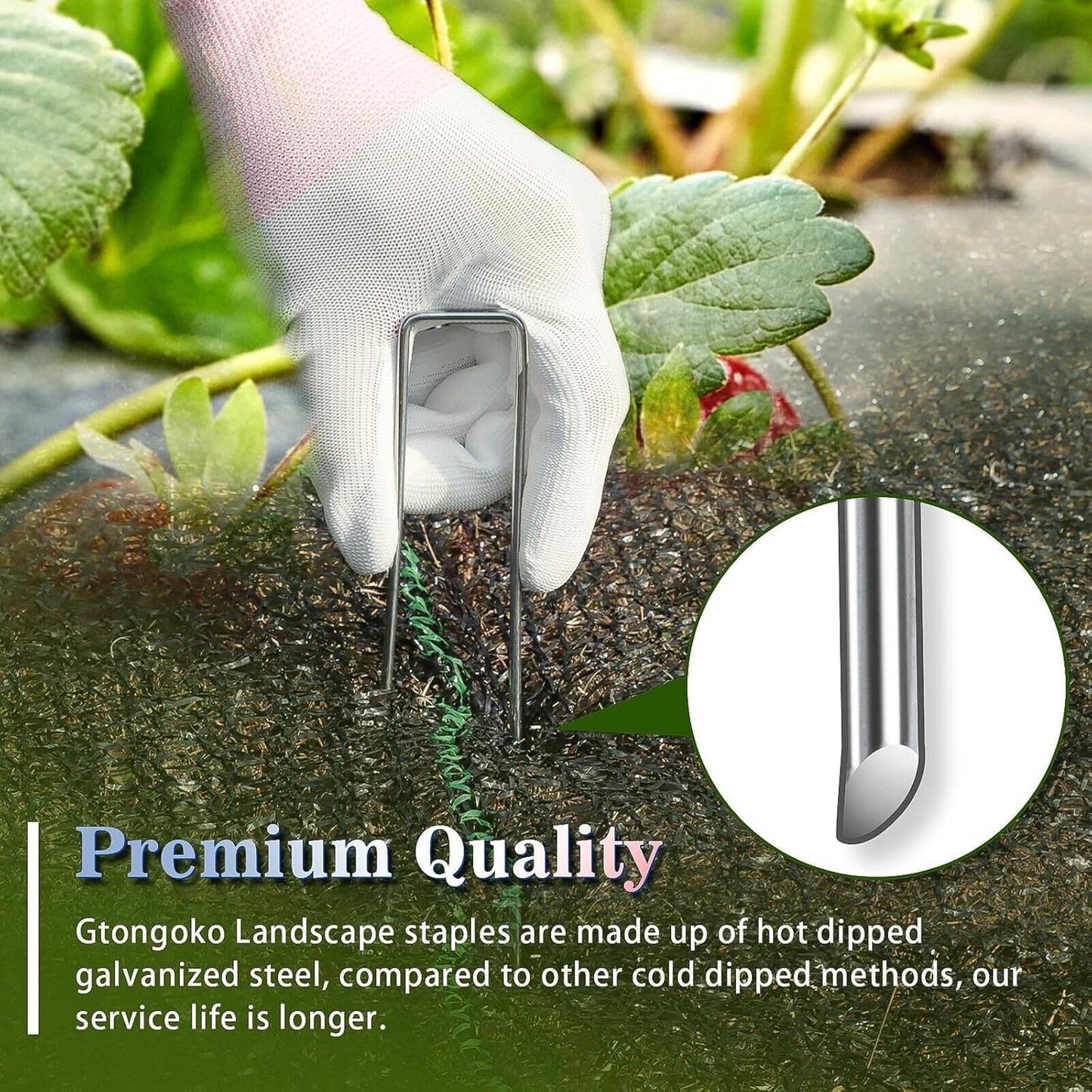 Gtongoko 50 Pack 10 Inch Galvanized Landscape Staples Garden Plant Cover Stakes 11 Gauge SOD Staples Ground Fence Stakes for Landscaping Securing Weed Barrier Fabric