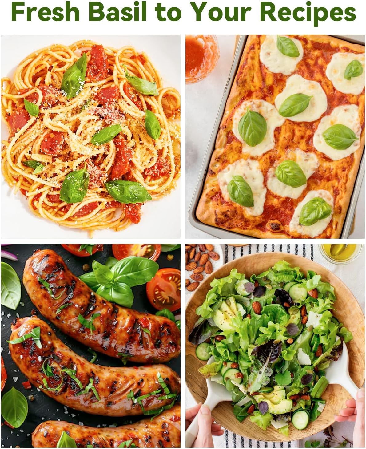 Hydroponics Seed Pod with Genovese Basil & Purple Basil, 16 Pods Complete Kit with Sponge, Basket, Dome, Label, Compatible with AeroGarden, Ahopegarden, GARDENCUBE, iDoo & MUFGA Indoor Smart Gardens