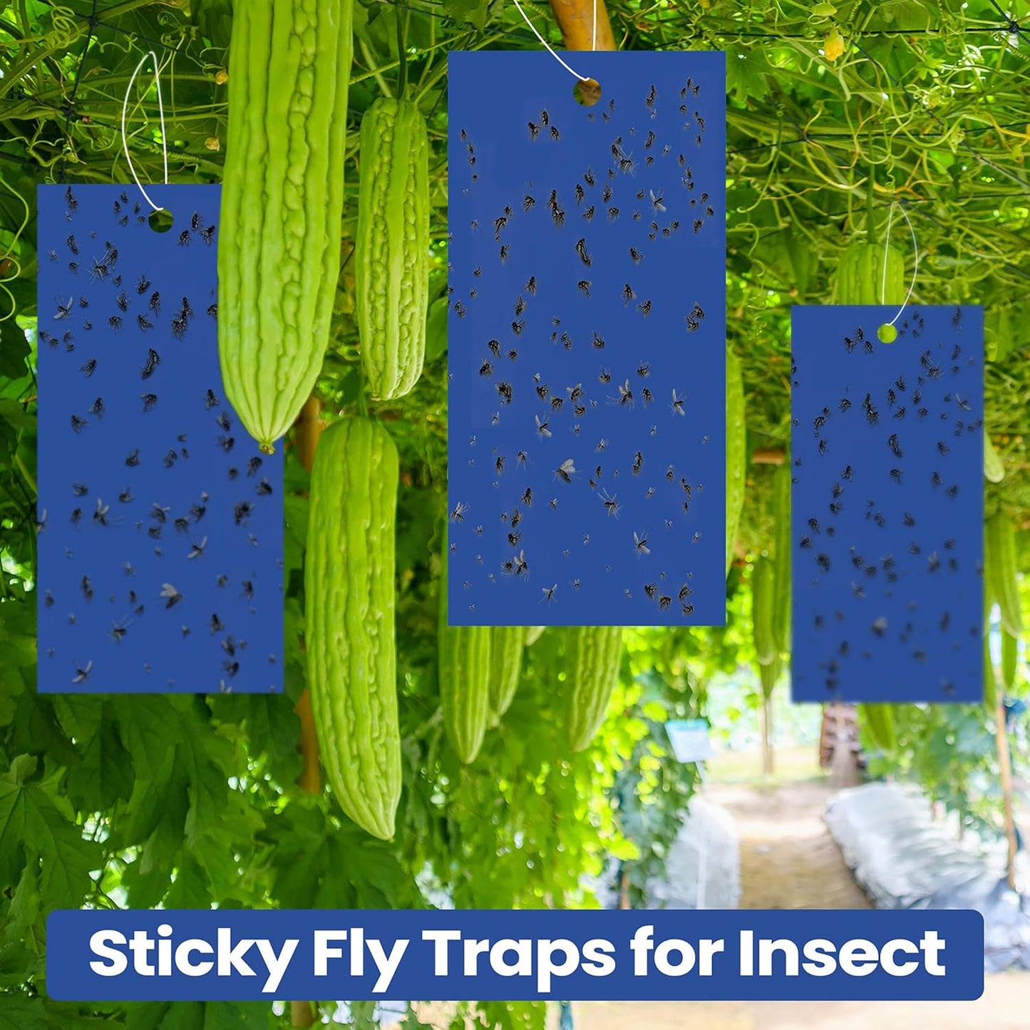 Qualirey 100 Pcs 7.87 x 3.9 Inch Sticky Traps for Plant Double Sided Sticky Trap for Gnats with Twist Ties Fly Traps for Fruit Insect Fungus Bugs Indoor Outdoor(Blue)