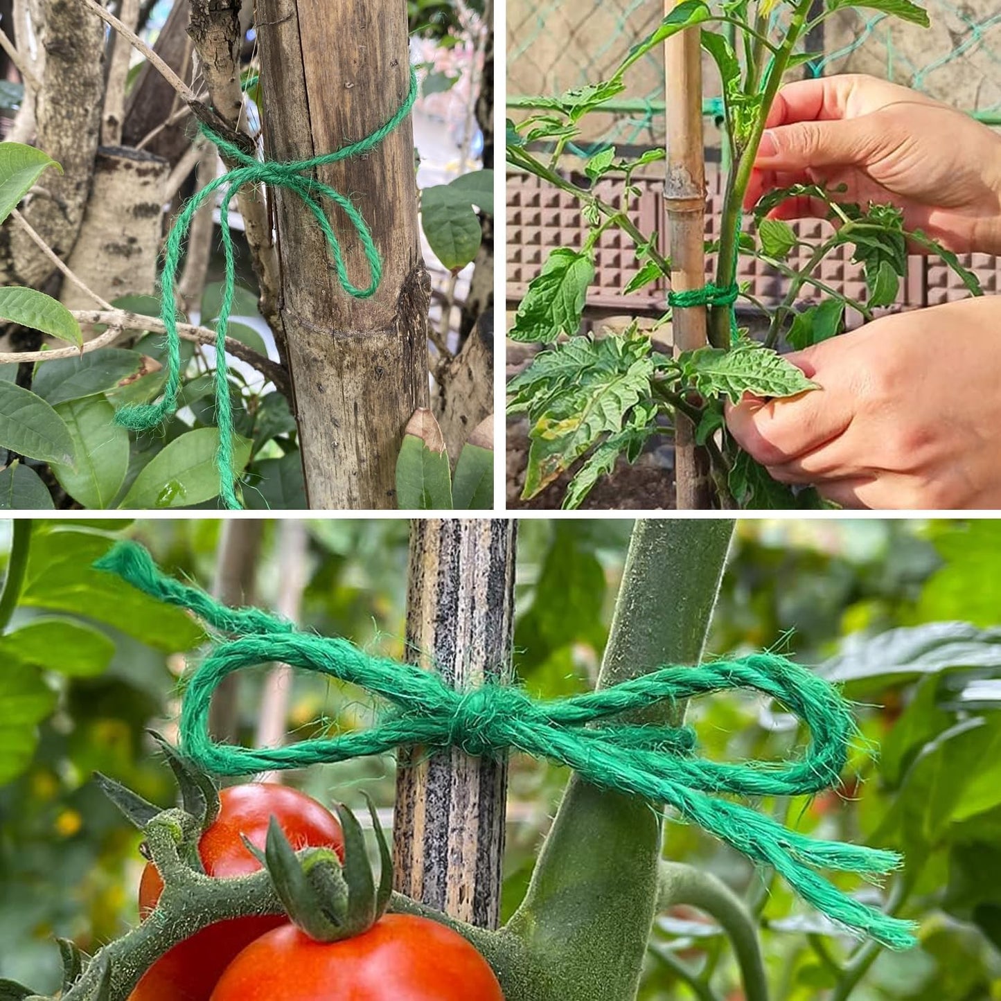 Vanhench 805ft Garden Twine, Green Twine String for Gardening Tomato Climbing Plant Tie Floristry Arts & Crafts Supplies, Hanging Planter Basket, Greenhouse Plant Accessories (Green)