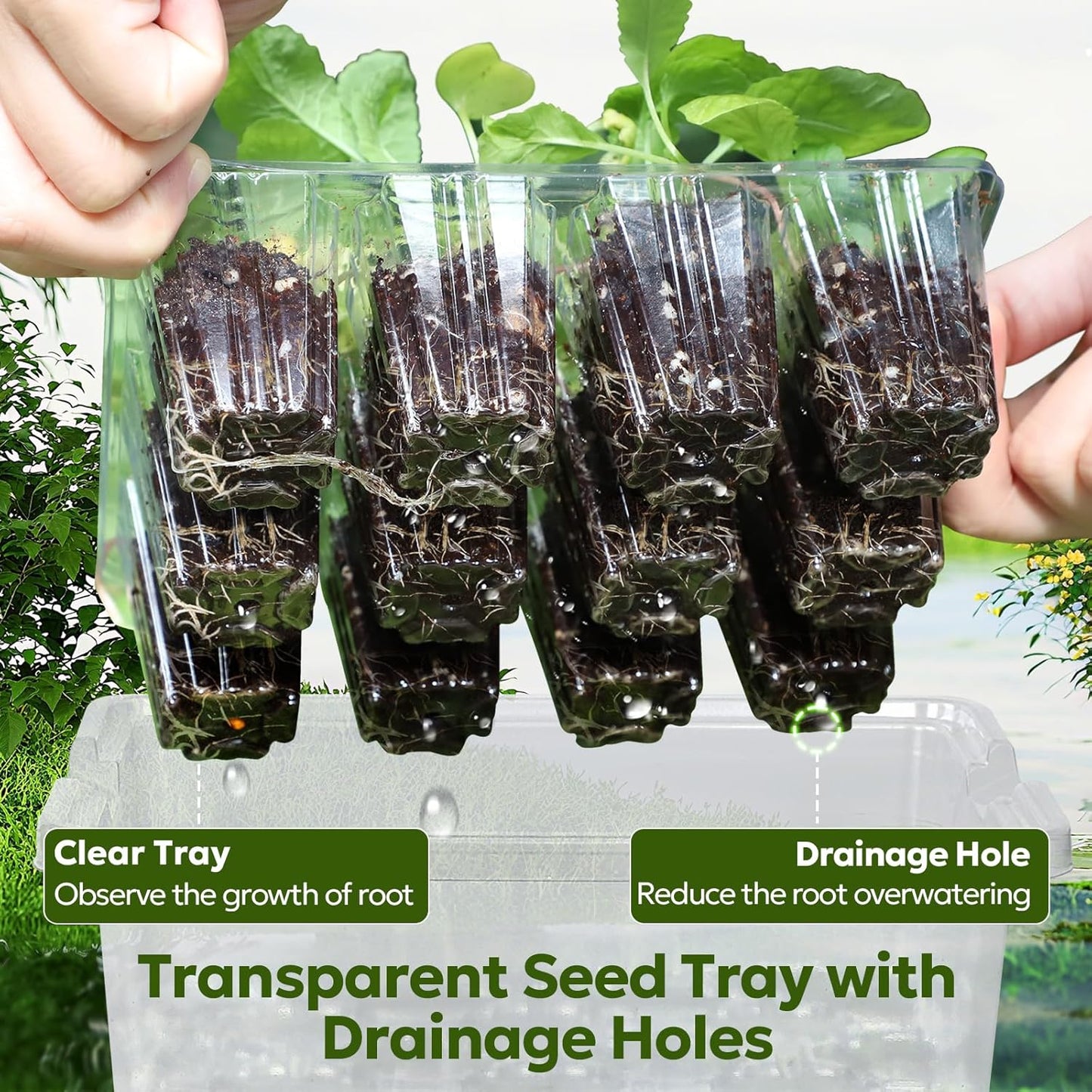 MIXC Seed Starter Kit with Grow Light, Elevated Seedling Tray Kit with Adjustable Humidity Dome and Clear Cell Tray, 12 Full Spectrum Led Beads for Seed Starting Greenhouse, 4 Pack, Transparent