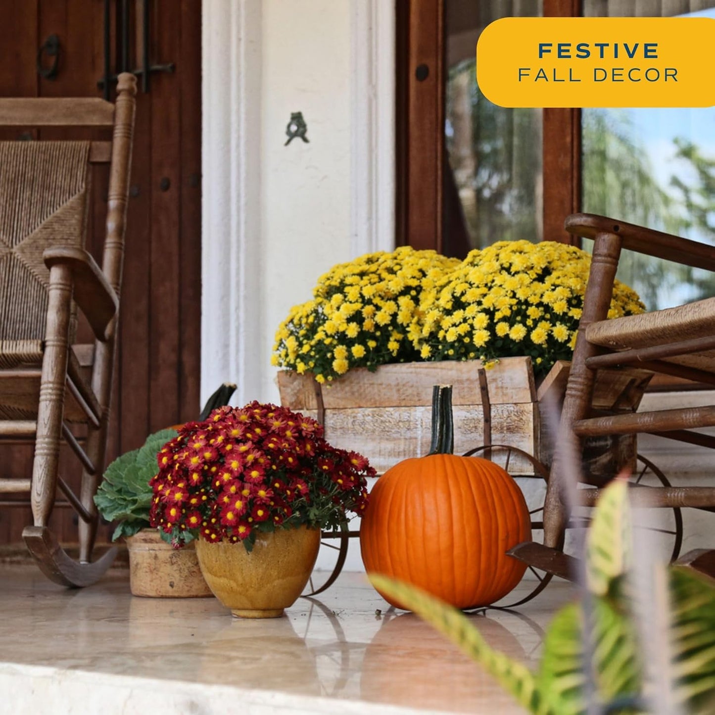 Costa Farms Chrysanthemum, Mums, Ships in Full Bloom, Porch and Patio Ready Bushel Basket 13-Inches Tall, Yellow