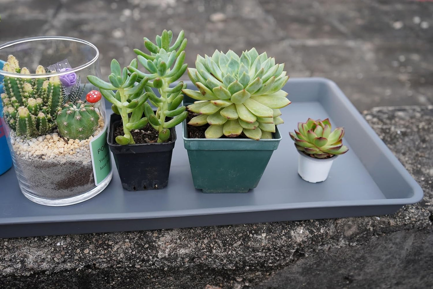 Rectangle Plant Tray, Plant Drip Tray, Plant Pot Saucers, Plant Germination Trays, Plant Saucers, 14.5'' x 11'' x 1.5'' (2 pack), Gray