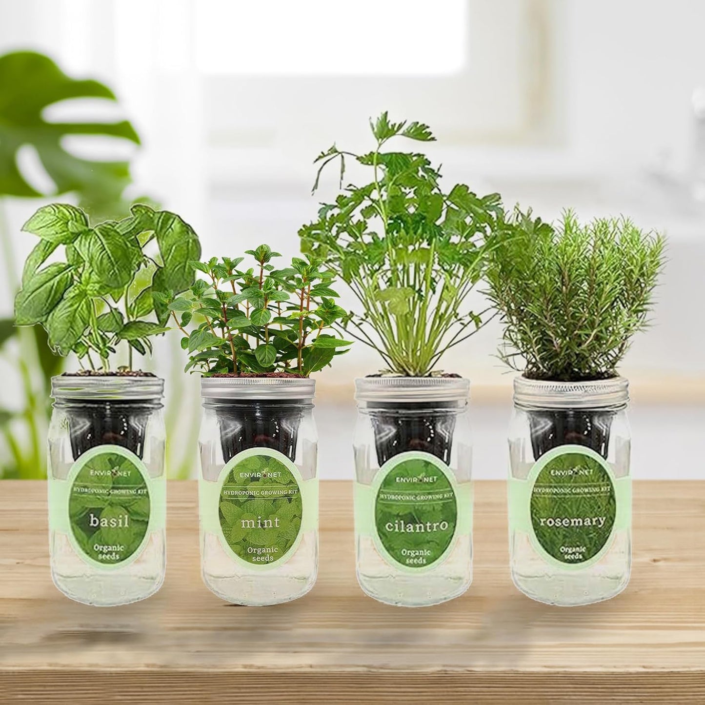 Hydroponic Herb Growing Kit Set, Self-Watering Mason Jar Herb Garden Starter Kit Indoor, Grow 4 Kinds of Herbs from Seeds (Basil, Mint, Cilantro & Rosemary)