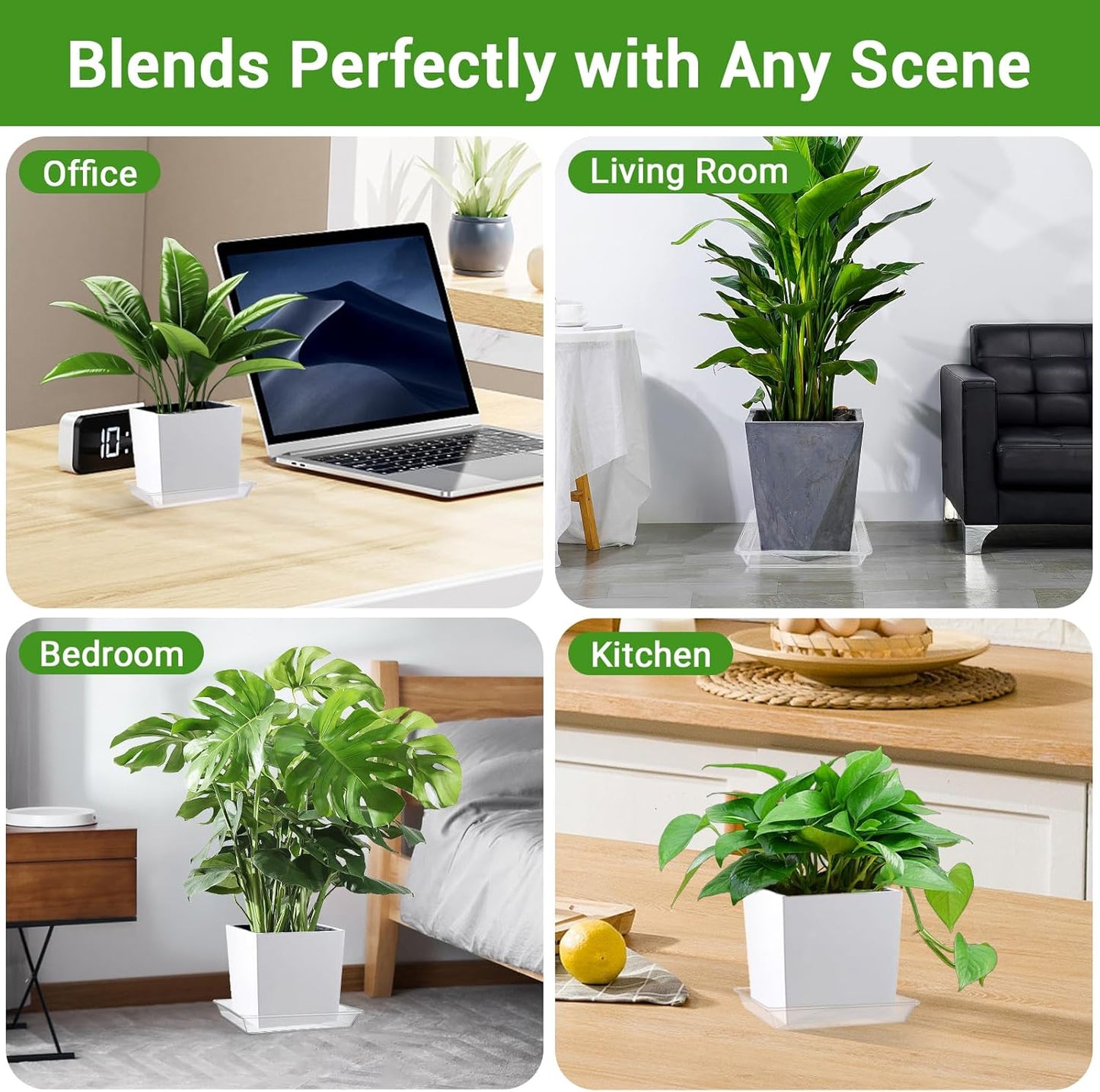 GREANER Square Plant Saucer, 8 Inch Plant Trays for Indoors No Holes, Clear Water Trays for Pots, Durable Flower Pot Saucers for Indoors and Outdoors(6 Packs)