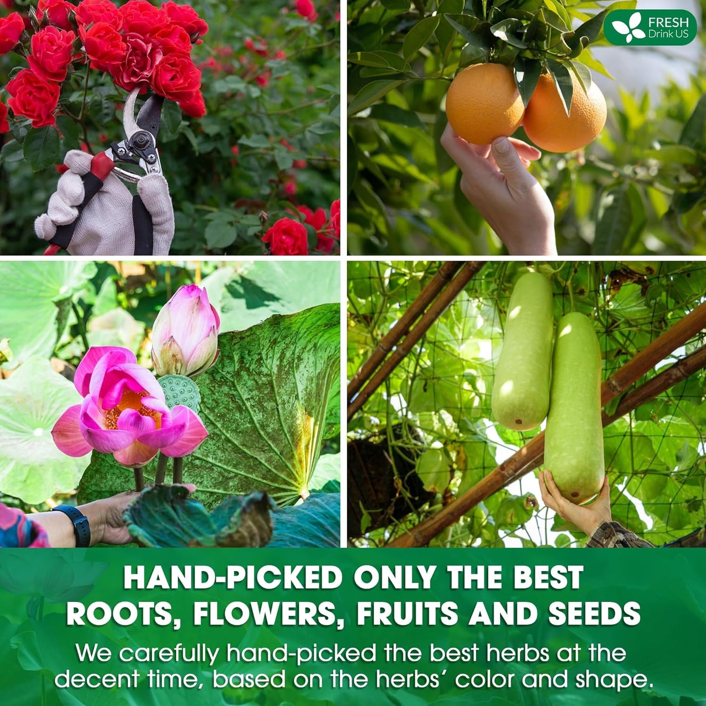 FRESHDRINKUS, 15 Packs of Oil Reducing Tea, Oil Cleansing for Liver, 10 Herbal Ingredients, Traditional Recipe Tea for Liver, 100% Natural, Easy Brewing, Steep Repeatedly (15 Packs)