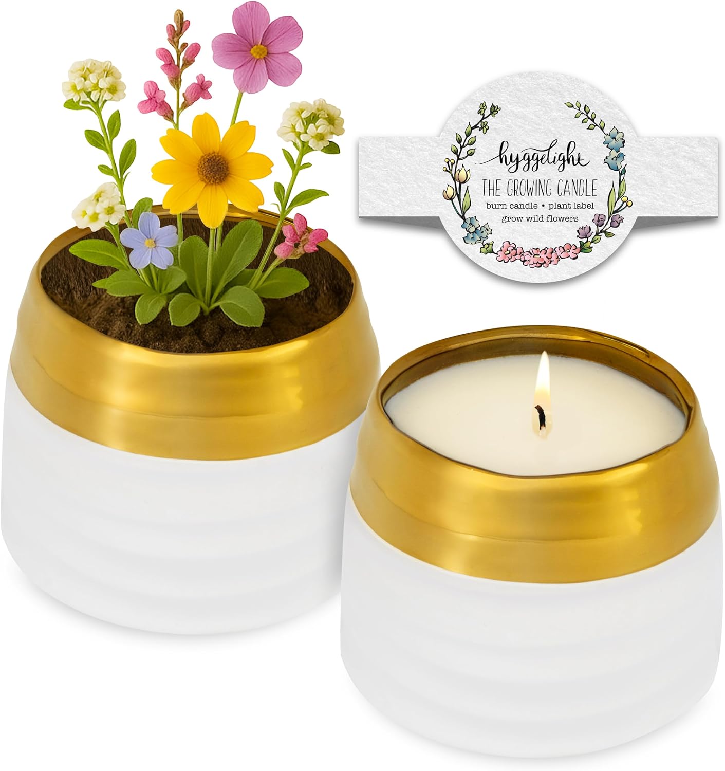 The Growing Candle, Sandalwood & Vanilla Scented, 10oz Ceramic Pot, Aromatherapy Candles for Home, 100% Soy, Clara