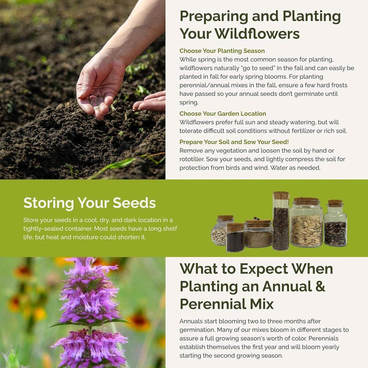 Eden Brothers Pretty in Pink Wildflower Mixed Seeds for Planting, 1/4 lb, 120,000+ Seeds with Candytuft, Rose Mallow | Attracts Pollinators, Plant in Spring or Fall, Zones 3, 4, 5, 6, 7, 8, 9, 10