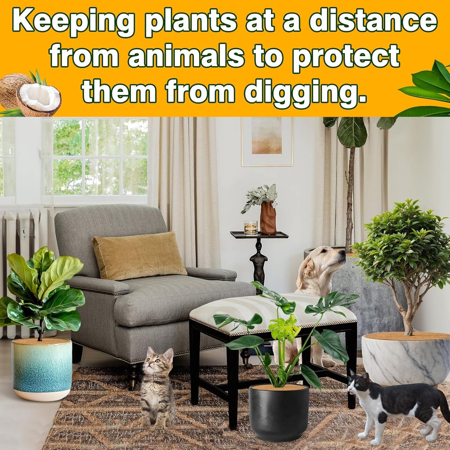 ZeeDix 6 Pack Coconut Fiber Mulch Ring, 24 Inch Coco Coir Tree Ring Mulch Mat, 100% Natural Tree Protector Mat Plant Cover Ring Coconut Coir Discs Tree Mats Mulch Rings for Indoor Outdoor Trees Plants