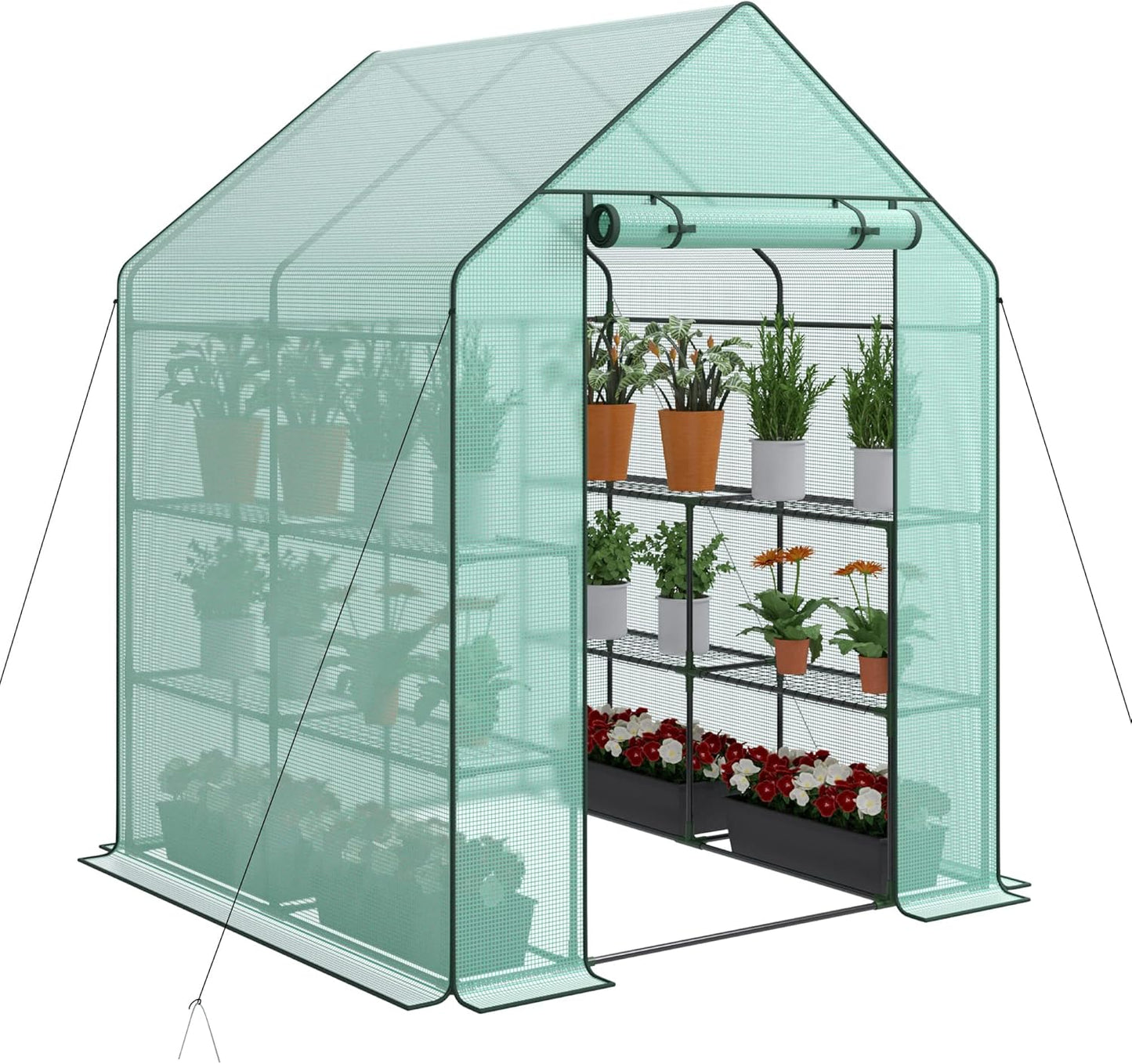 Nova Microdermabrasion Walk-in Greenhouse for Outdoors, 57 x 57 x 77 inch, Portable PE Cover Greenhouse with Anchors and Ropes Indoor Outdoor-3 Tier 8 Wired Shelves Plant Gardening Hot House