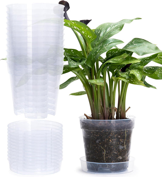 6 Inch Clear Plastic Plant Pot with Drainage Holes, Interlocking & Detachable Tray - Deep Saucer - Durable BPA-Free Plastic, Transparent Design, Raised Base for Airflow, Set of 12, 92-X-B-5