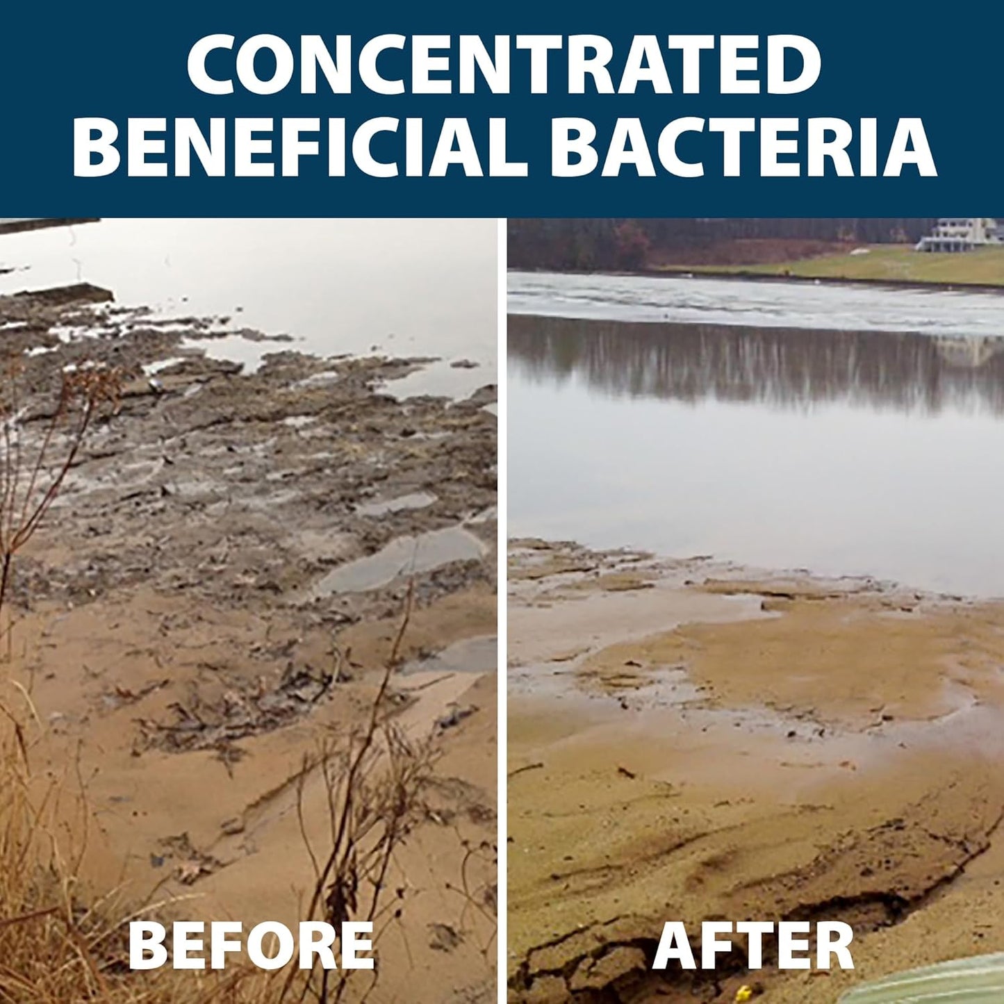 Airmax MuckAway, Natural Pond Muck Remover, Cleans & Clears Away Muck & Sludge, Easy to Use Bacteria & Enzyme Tablets, Safe for The Environment, Treats up to 1 Acre, 3 Month Supply, 36lbs