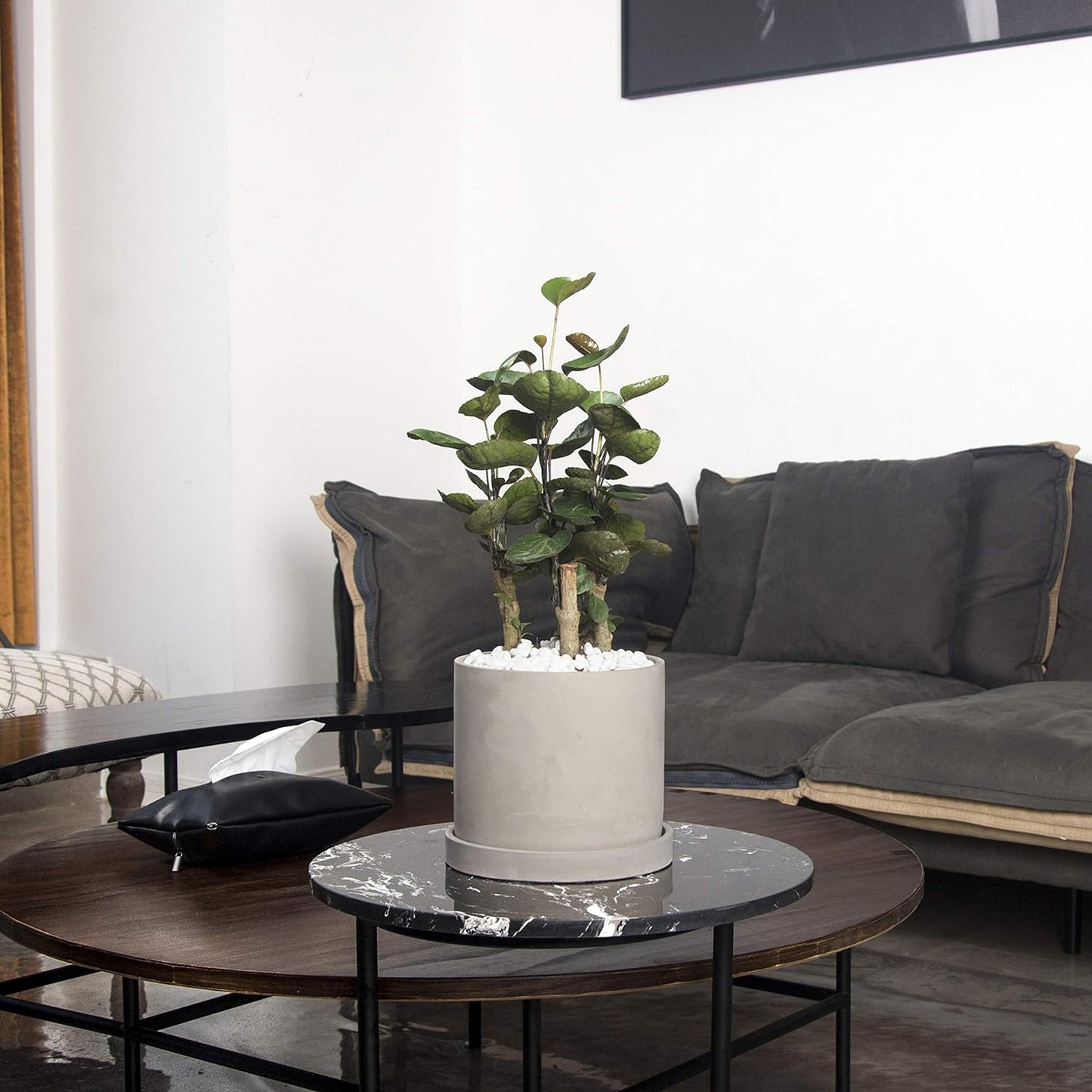 Ekirlin 6 Inch Flower Plant Pot Indoor - Grey Cement Garden Planter Concrete Planter with Drain Hole Saucer, Modern Succulents Containers for Home Decor, Office & Outdoor