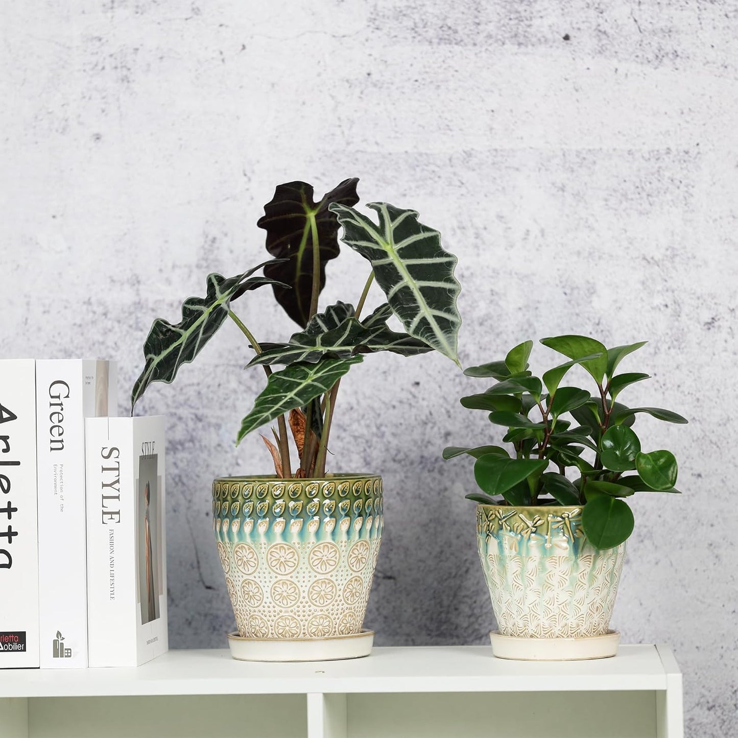 6 Inch + 5 Inch Ceramic Planter with Drainage Hole and Saucer for Plants, Indoor-Outdoor Round Succulent Orchid Garden Flower Pot - Set of 2