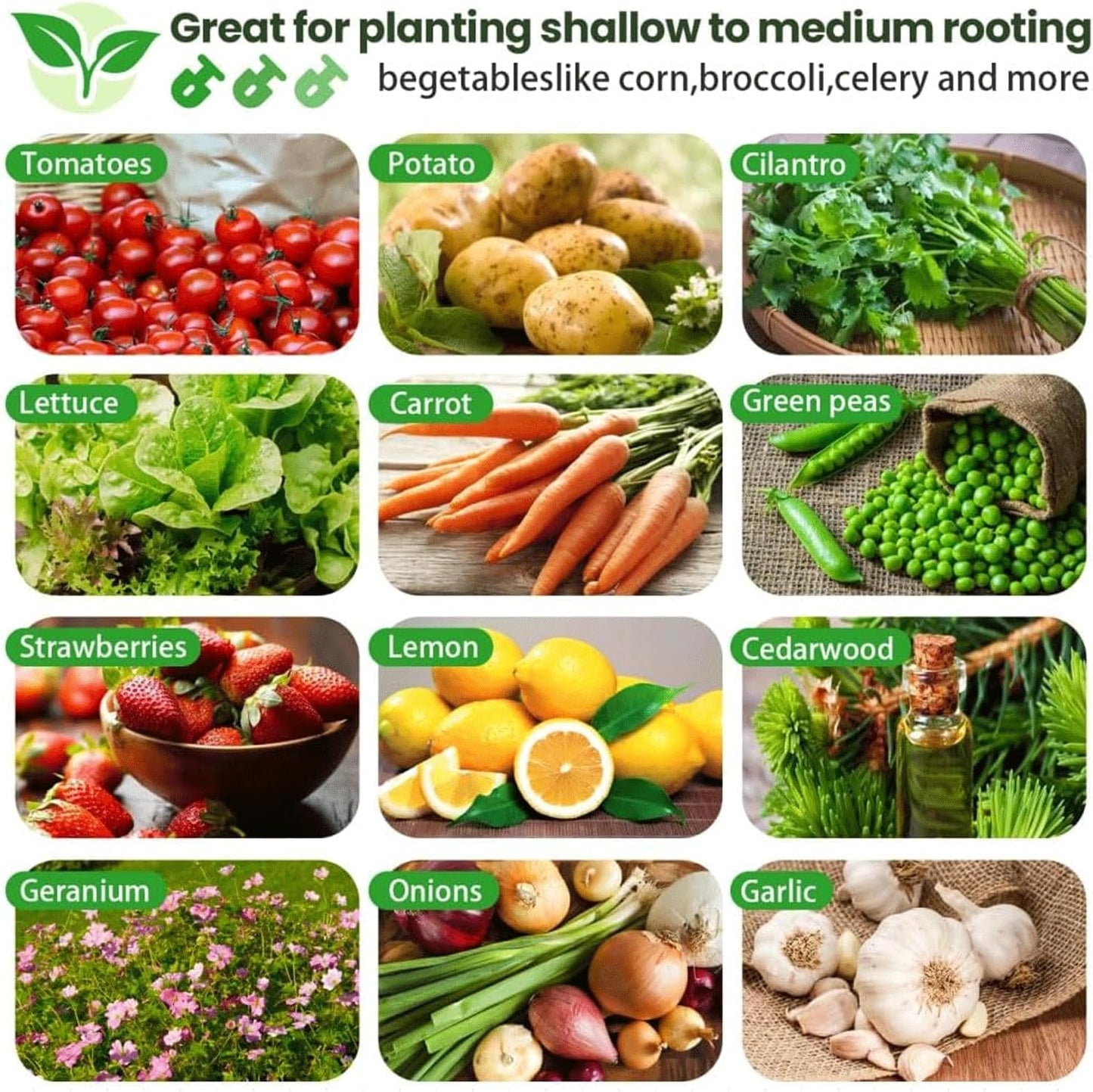 2 Pack 4x2FT Tall Galvanized Raised Garden Bed Outdoor,Metal Garden Bed for Vegetables,Steel Raised Beds for Gardening,Above Ground Garden Box for Flower