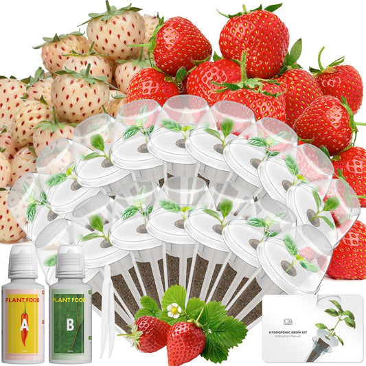 LYKOCLEAN Hydroponic Seed Pod Kit Compatible with AeroGarden, Ahopegarden, iDoo, MUFGA, 16 Pods Complete Growing Anything Garden Supply with Strawberry Seeds, Grow Sponges, Baskets, Domes, Labels