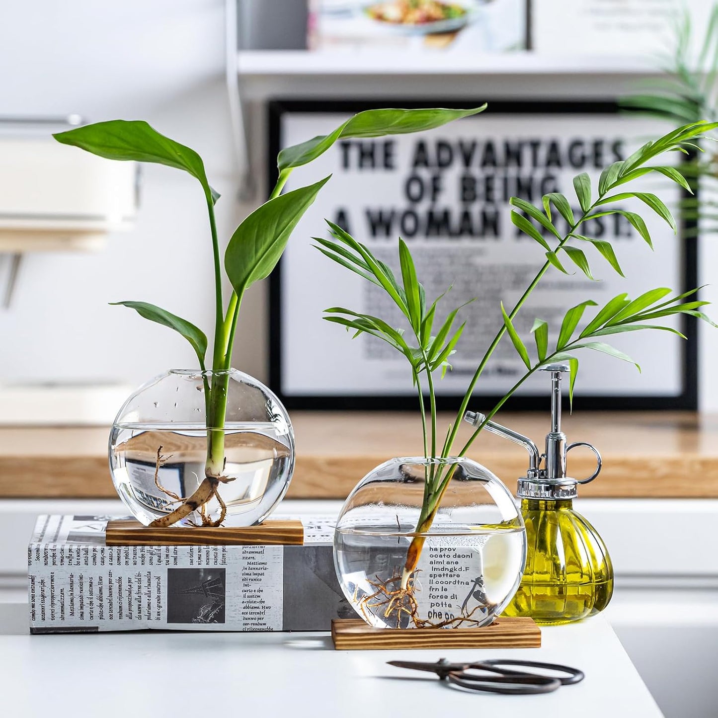 Glass Planter Propagation Station with Wooden Base - Clear Oblate Hydroponic Vase, Decorative Desktop Flower Vase for Home, Office, Windowsill - Gift for Plant Lovers (6)