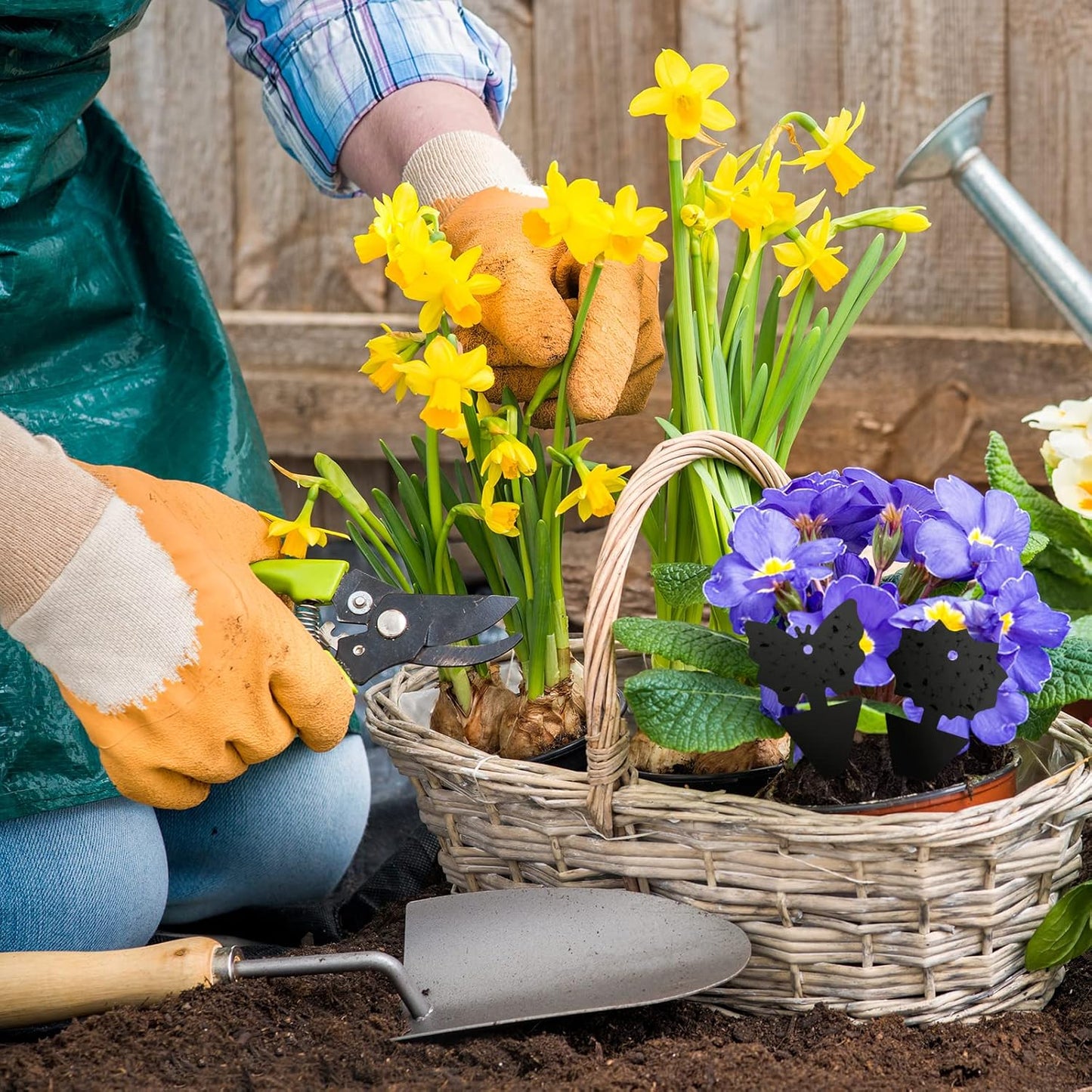 USKICH Sticky Traps Gnat Killer Fruit Fly Traps Non-Toxic and Odorless Fungus Gnat Traps Insect Traps Black Sticky Trap for Indoor and Outdoor Plants（96Pcs Black）