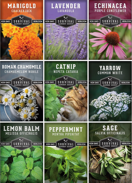 Medicinal Tea Herb Seeds for Planting | 9 Variety Pack of Heirloom, Non-GMO Herbs – Grow Herbal Teas, Natural Remedies – Home Apothecary Garden Kit – Survival Garden Seeds