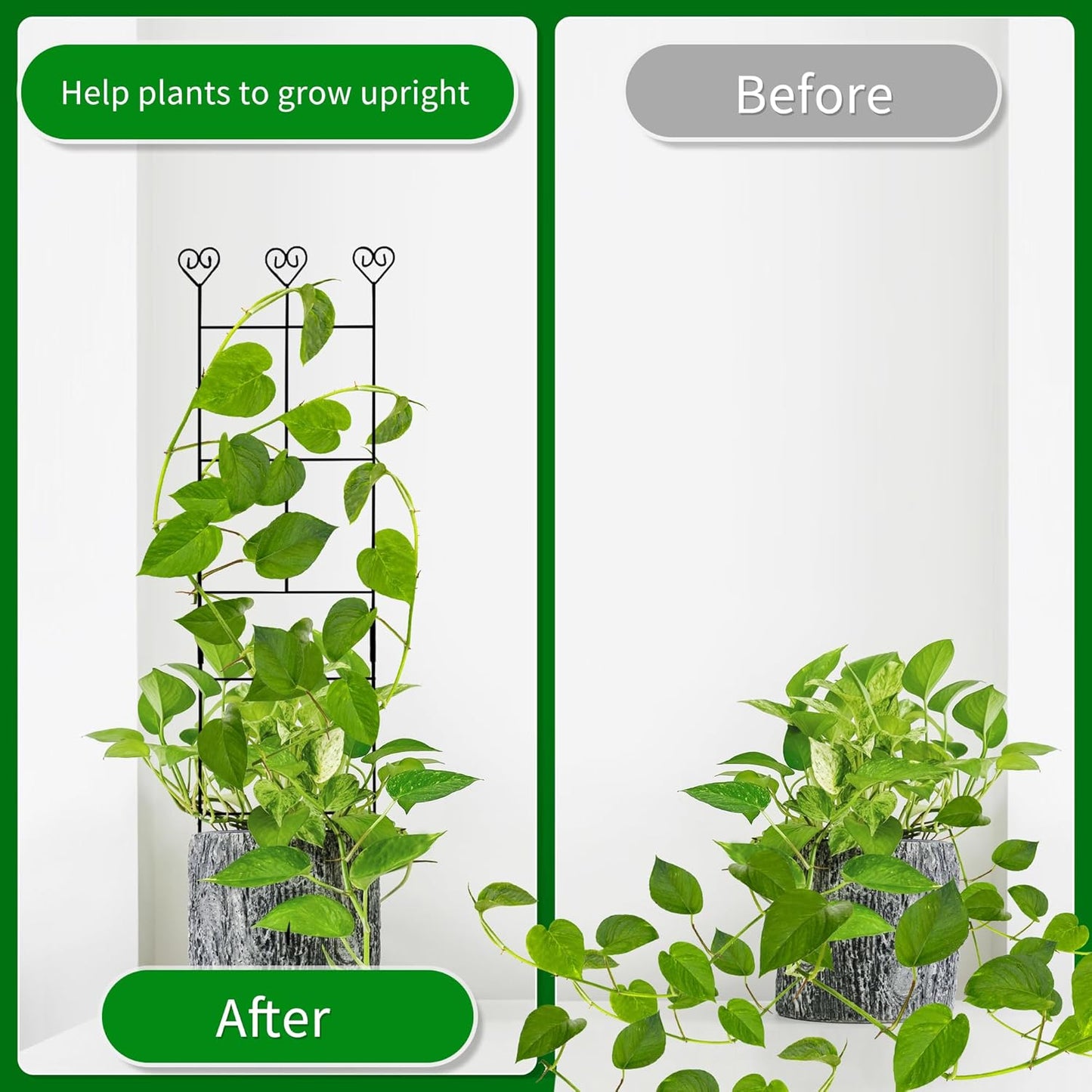 2 Pack 30'' Plant Trellis for Climbing Plants Indoors, Metal Garden Trellis for Potted Houseplant, Rustproof Plant Support for Ivy, Vines, Pothos, Hoya and Flower, Black