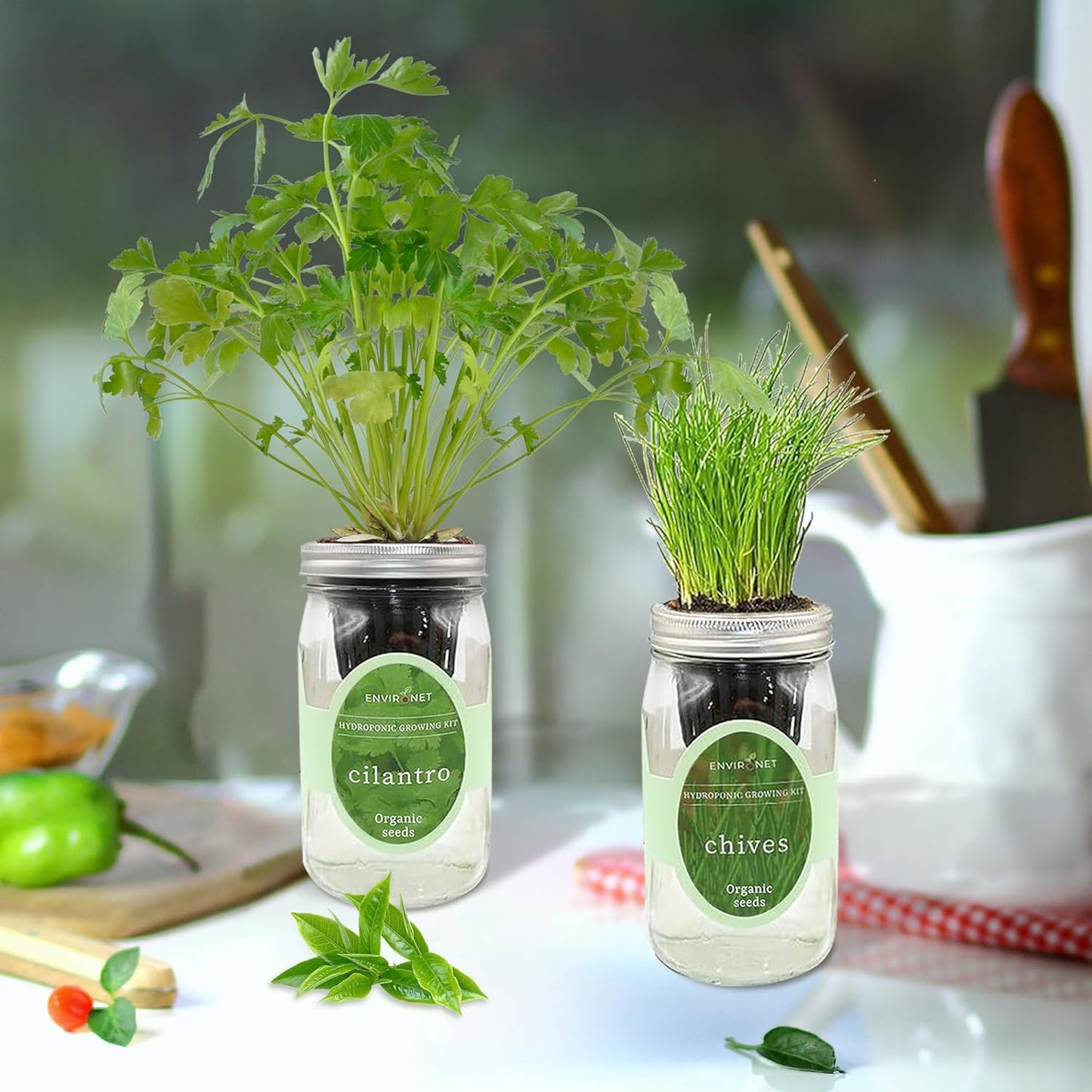 2-Pack Hydroponic Mason Jar Herb Garden Kit, Indoor Herb Garden Self-Watering Starter Kit (Cilantro,Chives)