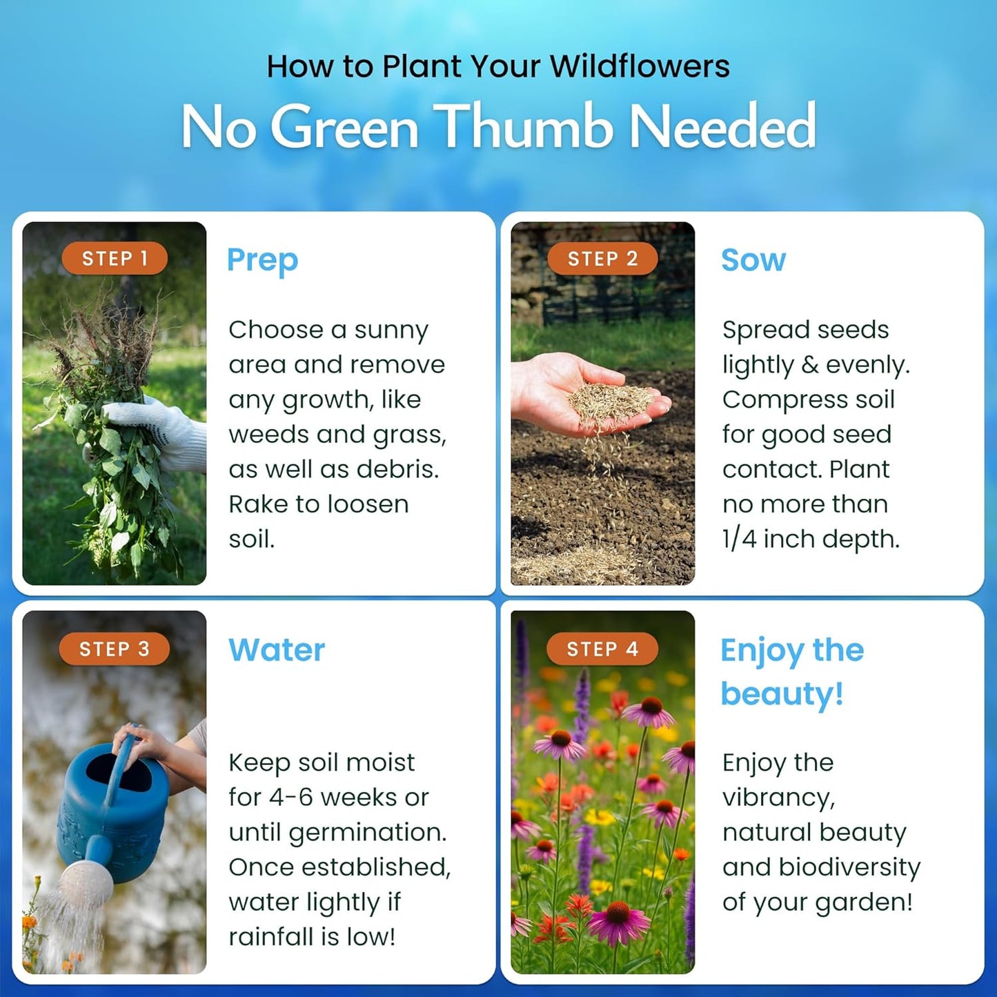 Created By Nature Bee & Butterfly Wildflower Seed Mix, 16 Varieties, 30,000 Seeds