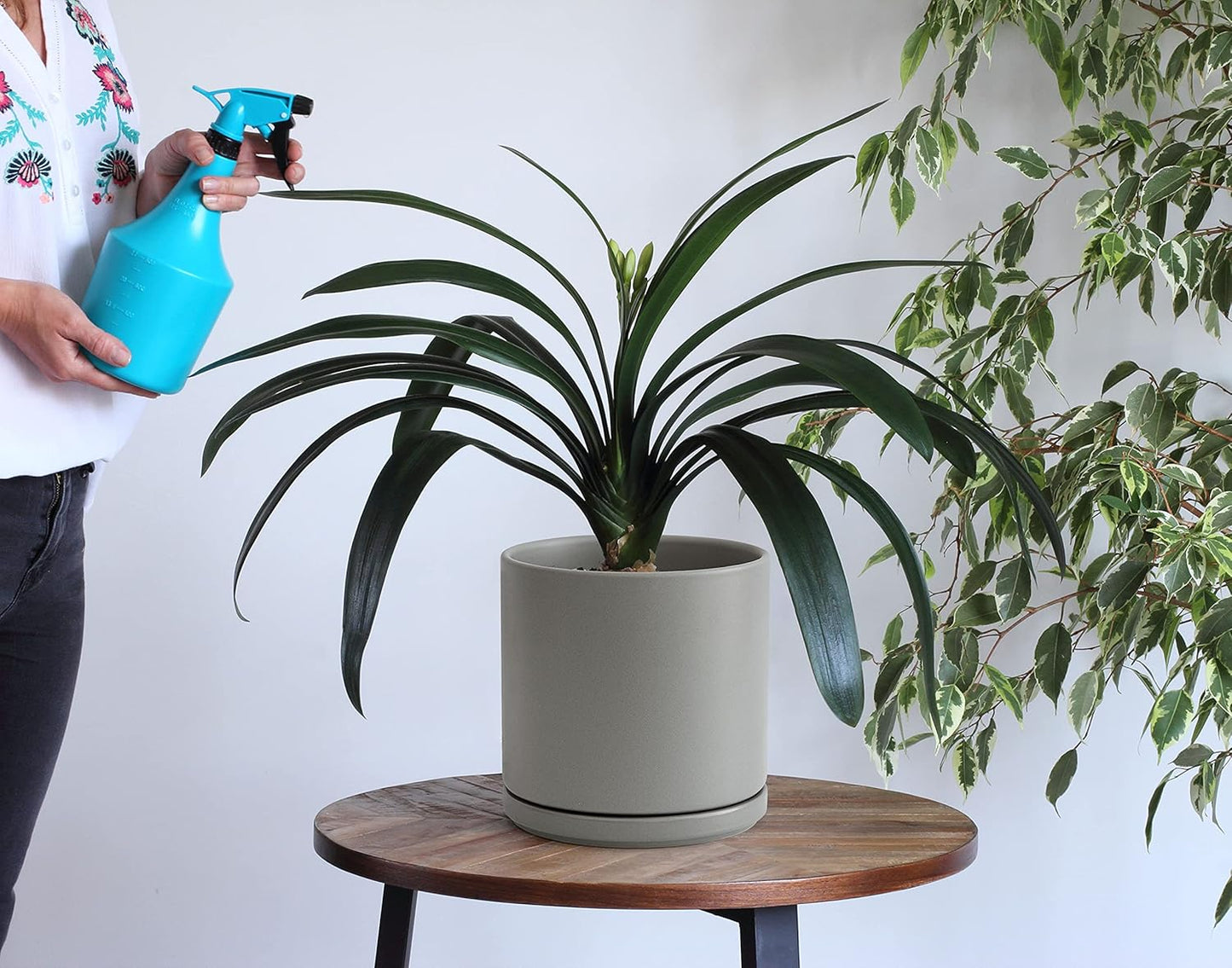 D'vine Dev 8 Inch Ceramic Planter Pot with Drainage Hole and Saucer, Indoor Cylinder Round Planter Pot, Grey, 94-O-D-3