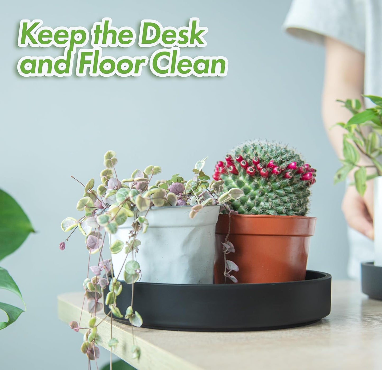 Phoenix Vine 8 Inch Plastic Plant Saucer Water Drip Tray, Heavy Sturdy Round Plant Drainage Tray for Indoors Outdoor, Set of 2, Matte Black, 21-TY-8B-2