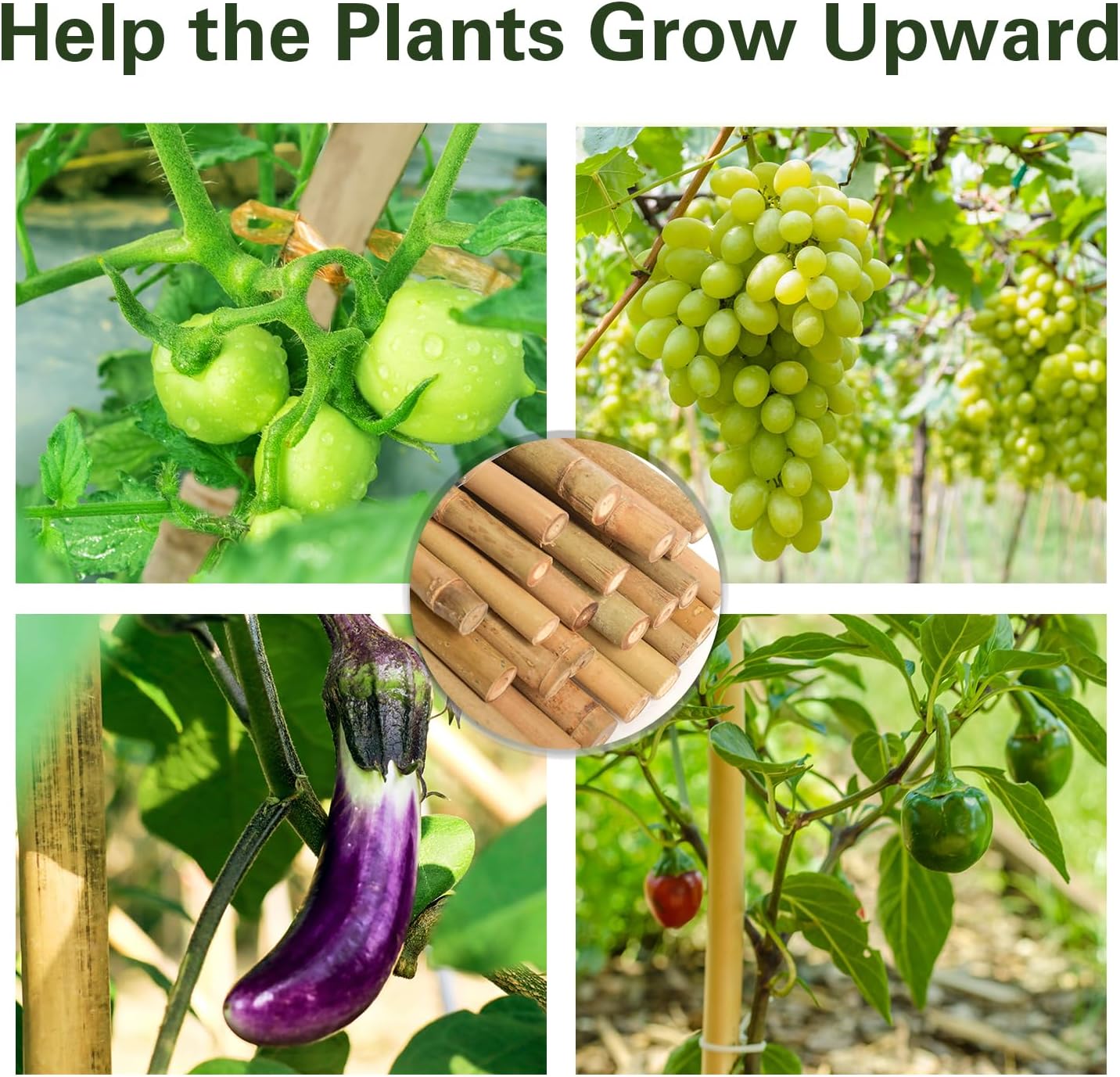 Bamboo Stakes 4 FT 30pcs, 48 inch Garden Stakes Multi-Purpose, Plant Stakes for Tomatoes, Beans, Cucumbers, Peppers, Flowers, Potted, Maintain The Plant Posture, Strengthen and Stem