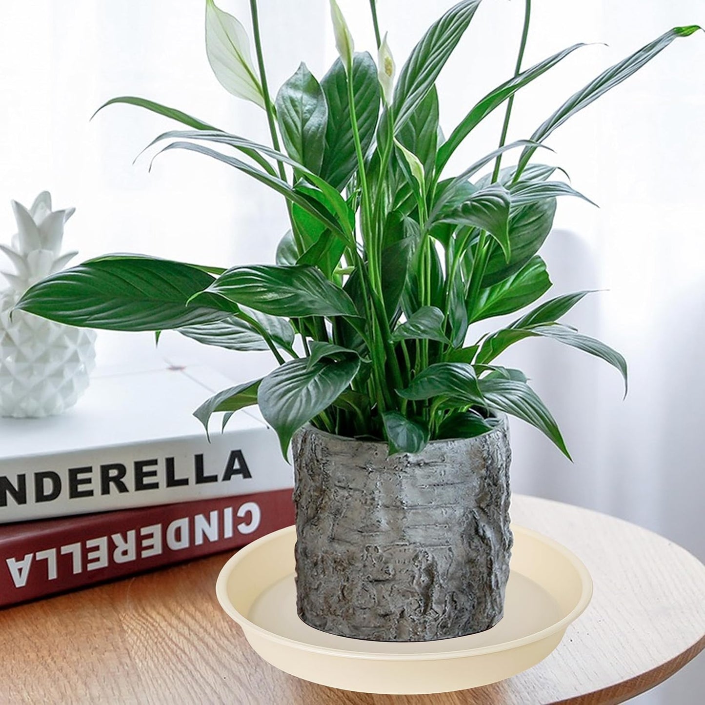 6 Pack Plant Saucer Water Drip Tray, 4 5 6 7 8 9 10 11 12 13 15 17 19 inch, Heavy Sturdy Plant Drainage Tray for Indoors Outdoor, Flower Saucers for Pots Base (4", Beige)