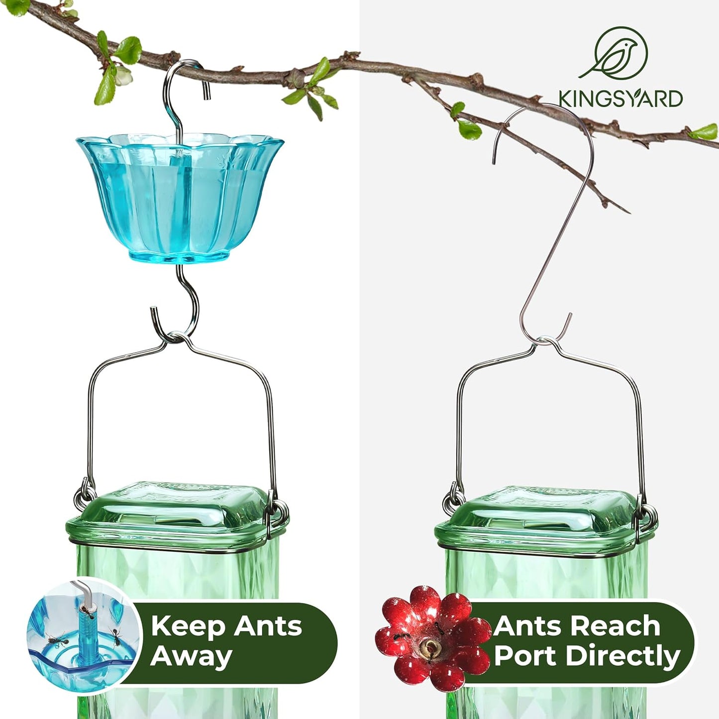 Kingsyard 2 Pack Glass Hummingbird Feeder for Outdoor Hanging, 24 Ounces, 6 Feeding Ports, Bird Nectar Feeder for Garden Décor, Ant Moat Included, Green & Blue