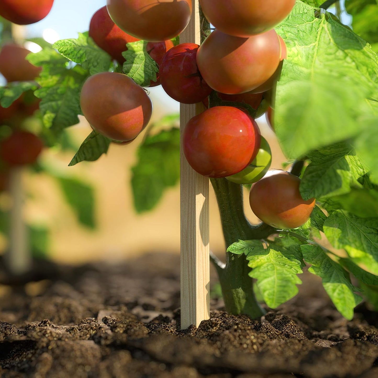 Greenes Fence 3 Ft. Wooden Garden and Sign Post Stakes (75-Pack)