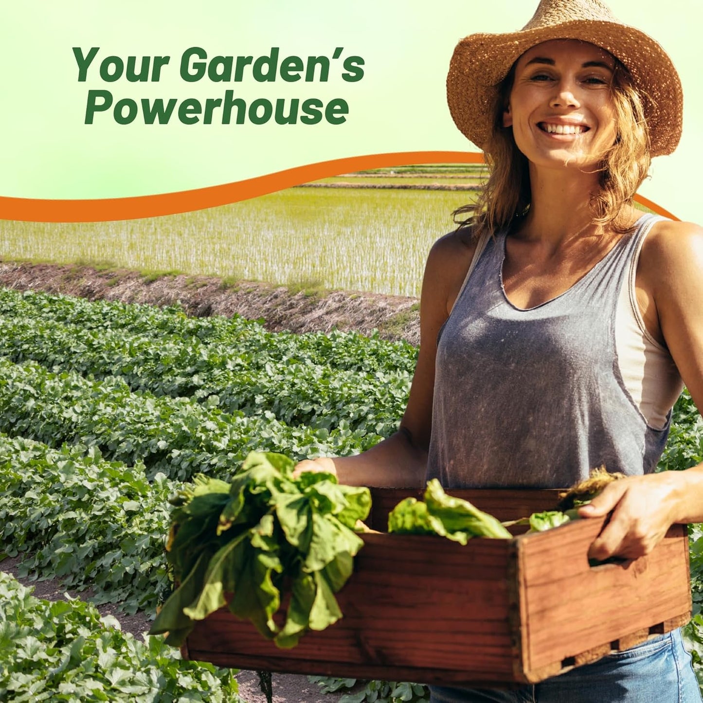 Outsidepride Annual Daikon Radish Seeds - 50 lbs. Chinese, Japanese, & Oriental Radish Seeds for Soil Health, Erosion Control, & Soil Aeration - Ideal for Gardens, Cover Crops, Pastures, & Food Plots