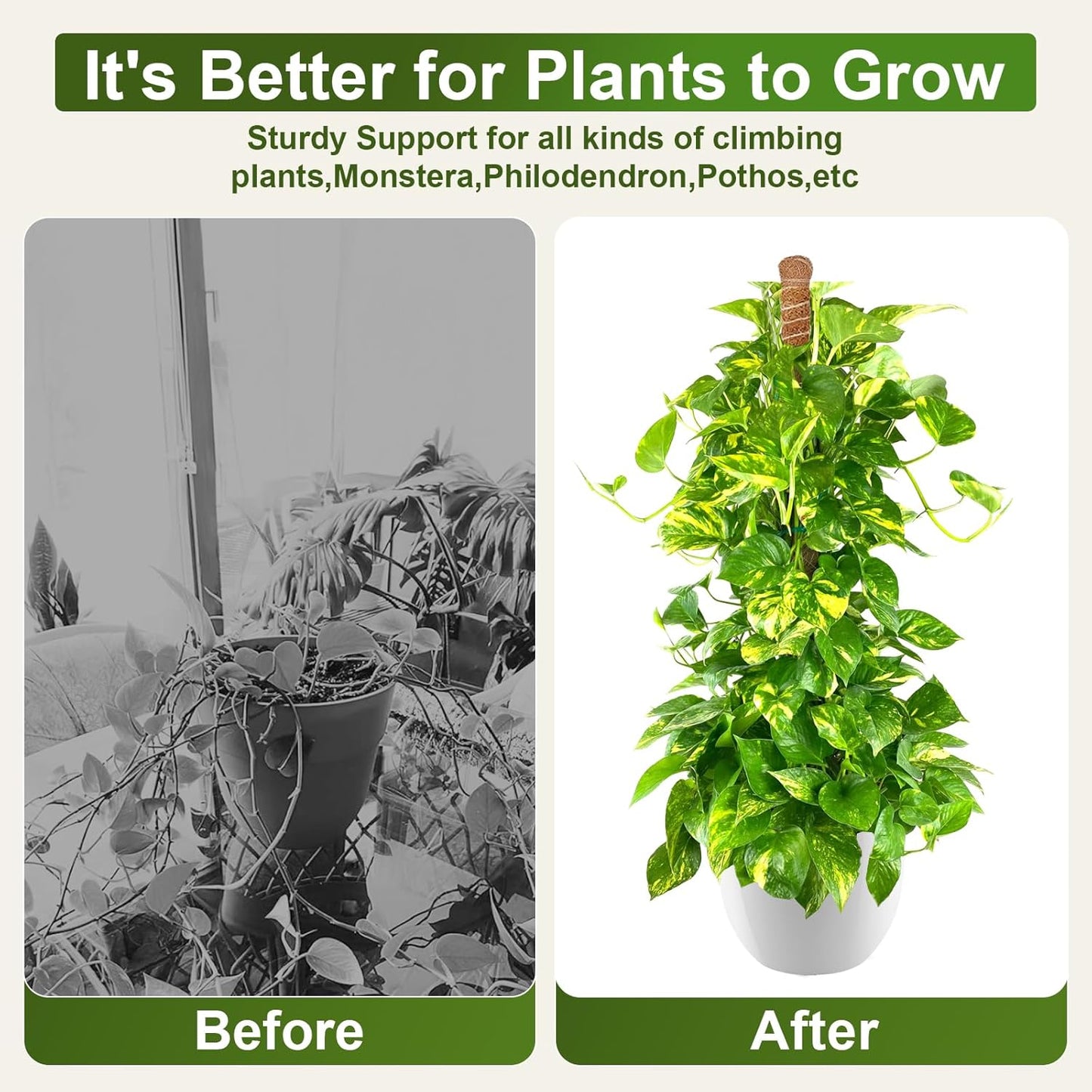 2 Pack 63'' Bendable Moss Pole Monstera Plant Support for Indoor Climbing Plants, Tall Plant Stick Support Stake for Potted Plants, Pothos, Philodendron