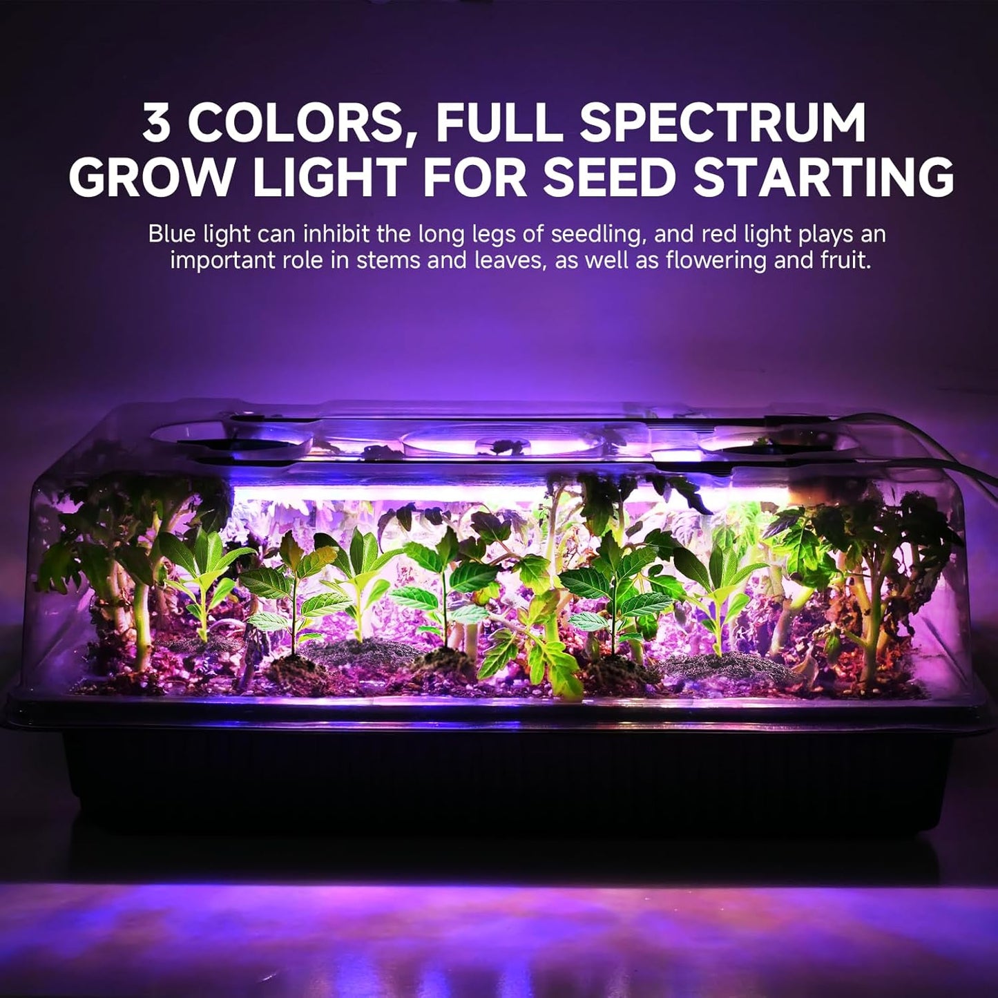 80 Cells Seed Starter Trays with Grow Lights, Color Change Grow Lights for Seed Starting Kit, 3 Timming Set, Plant Growing Kit for Gardeners，Germination Trays Kits