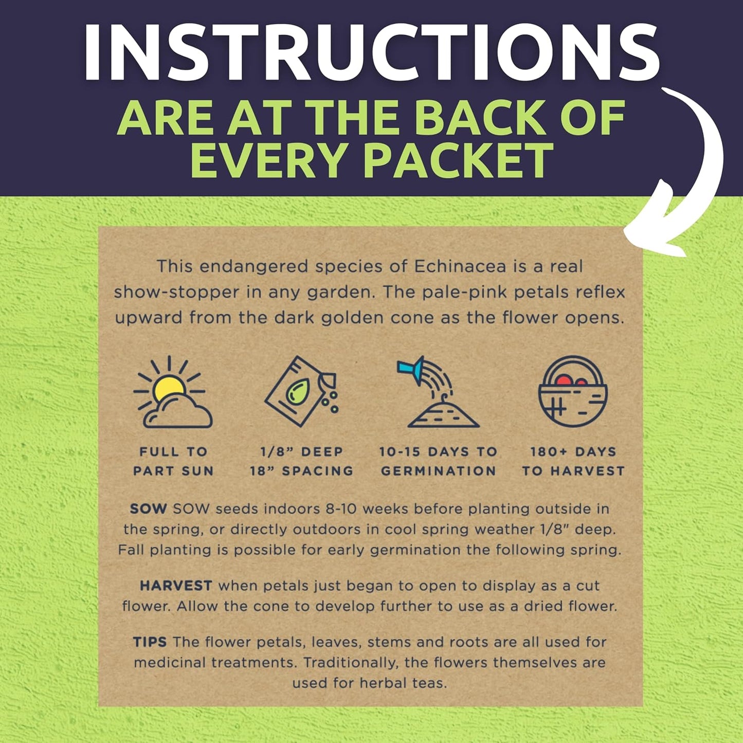 Organic Herb Seeds Variety Pack - 35 Individual Packs - 2025 Season - Basil, Cilantro, Dill, Thyme, Parsley and More! for Indoor & Outdoor Planting (Non-GMO, Certified Organic)