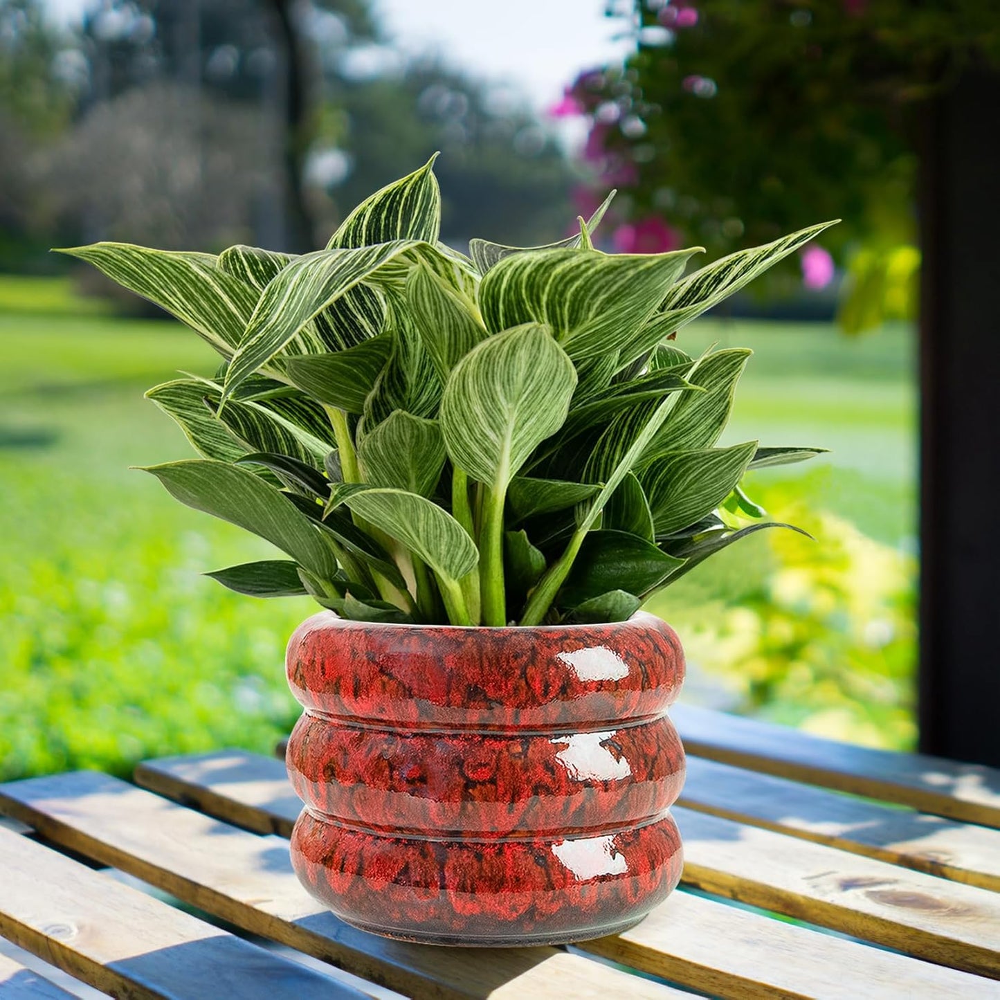 Ceramic 6 inch Plant Pot - Planter for Indoor Plants with Drainage Hole, Flower Pots for Orchid, Succulent,Outdoor Plants, Modern Glaze Planters for Home Office Decor Gift