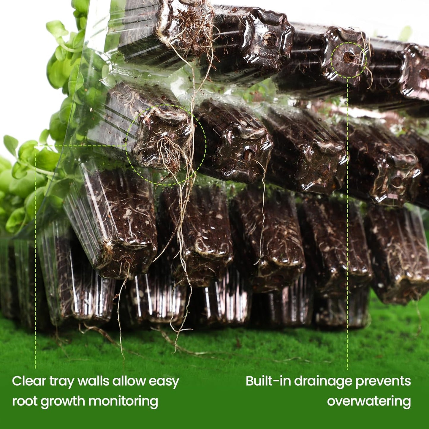 Bonviee 2-Pack Seed Starter Tray with Plant Light, Elevated Seedling Starter Trays Kits with Adjustable Humidity Domes and Clear Cell Tray, 12 Full Spectrum Led Lamp Beads for Plants Indoor-Clear